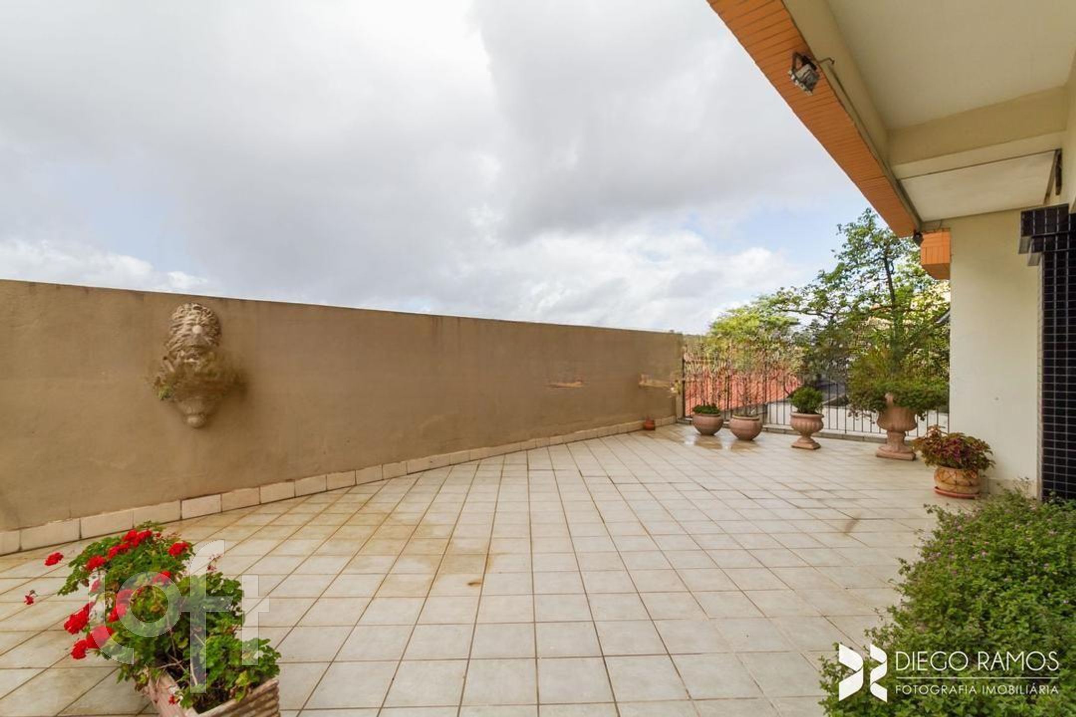 Imagem da propriedade 36