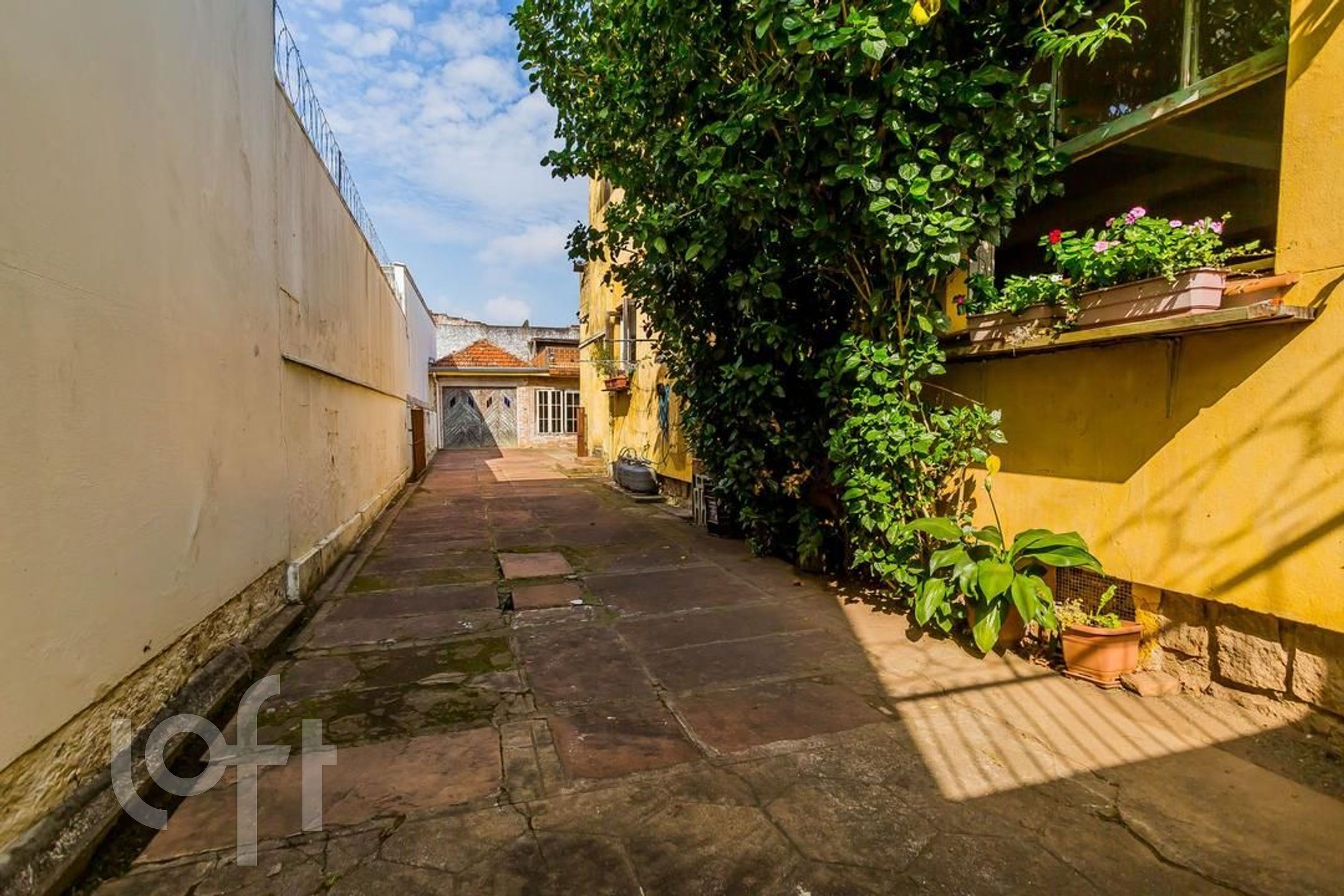 Imagem da propriedade 43