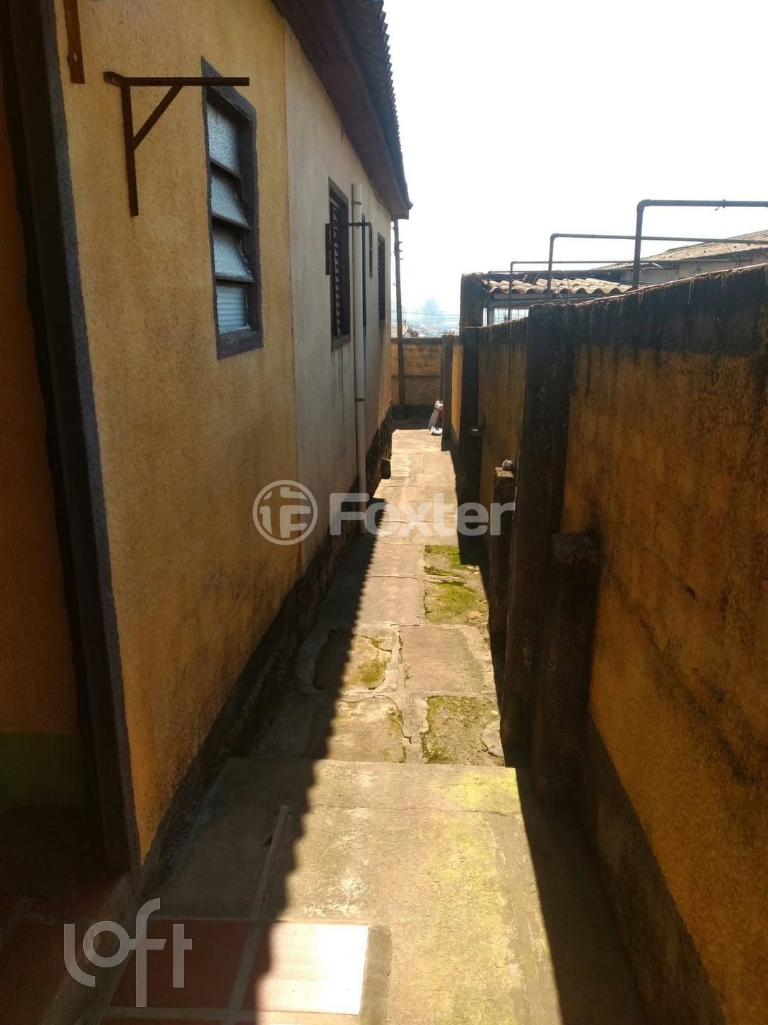 Imagem da propriedade 4