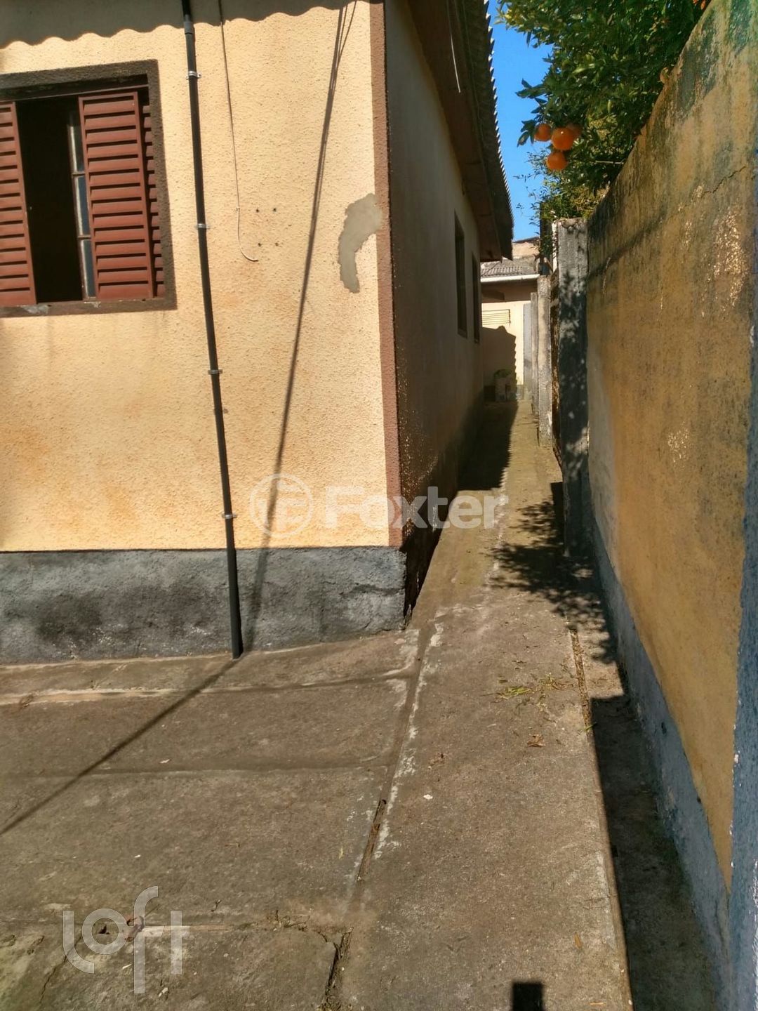 Imagem da propriedade 7