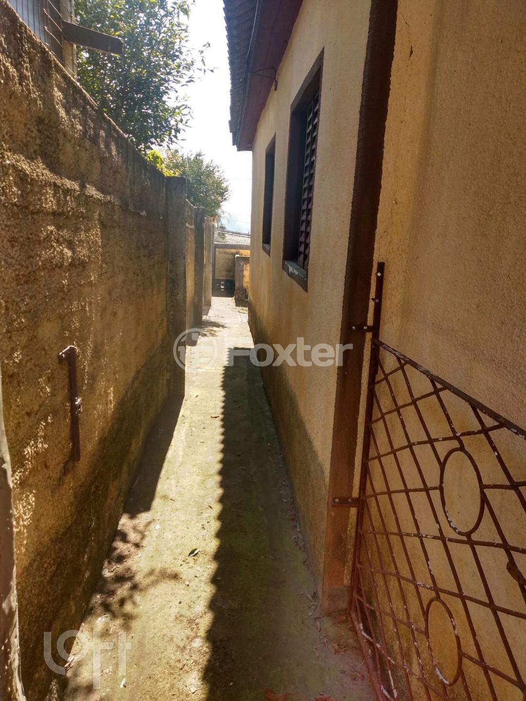 Imagem da propriedade 5