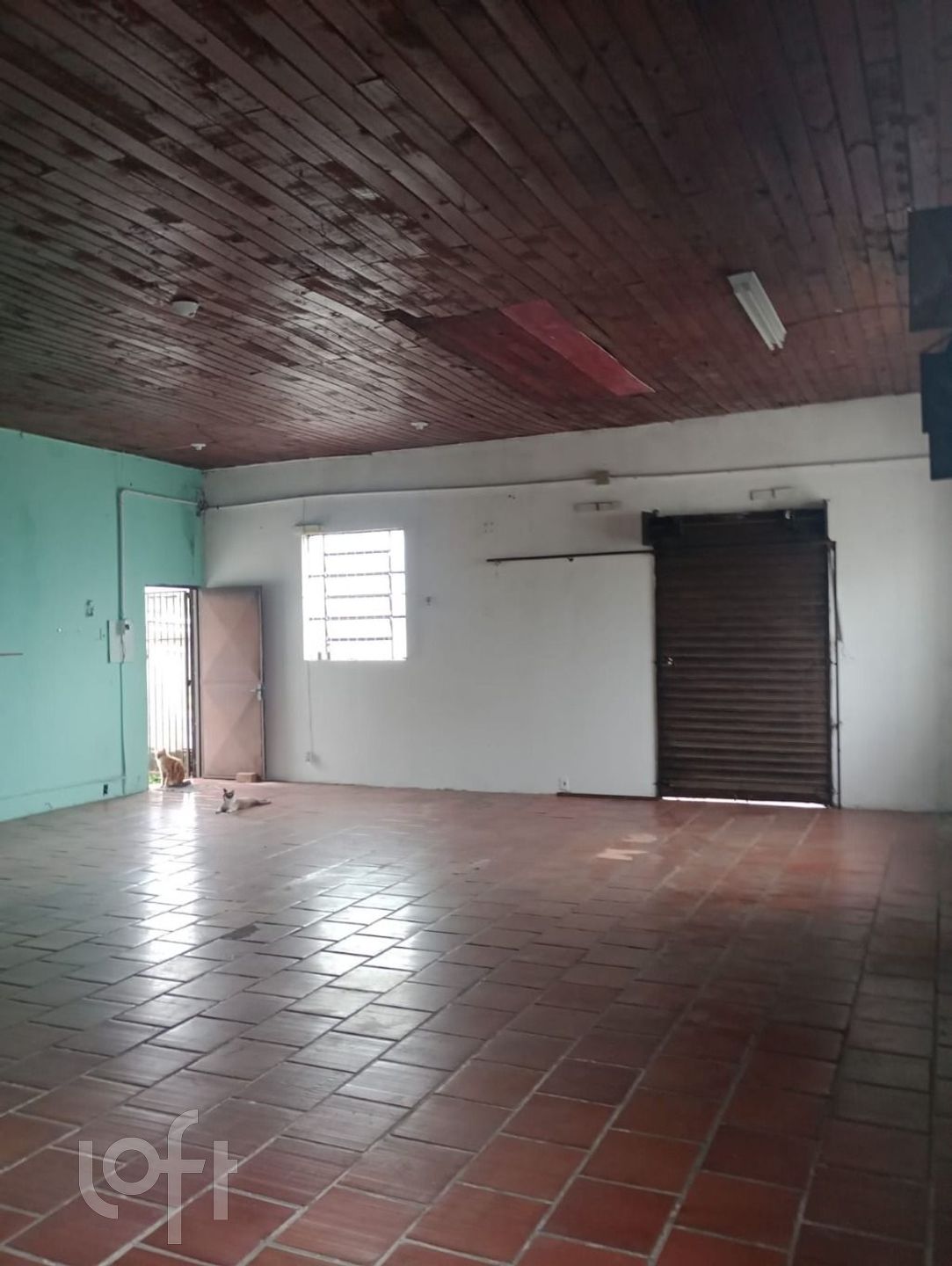 Imagem da propriedade 30