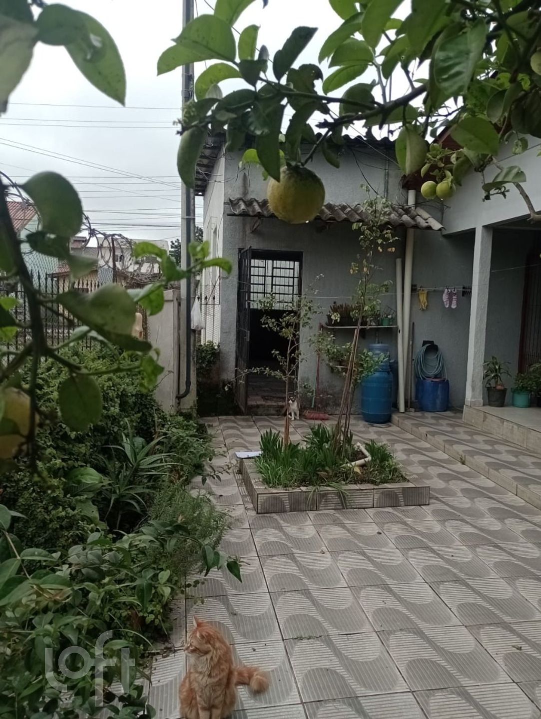 Imagem da propriedade 23