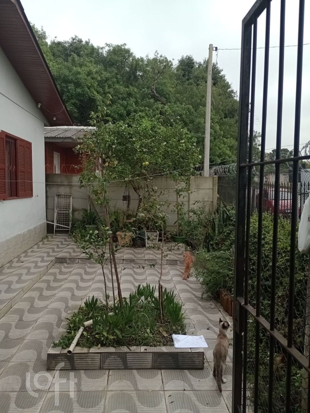 Imagem da propriedade 27