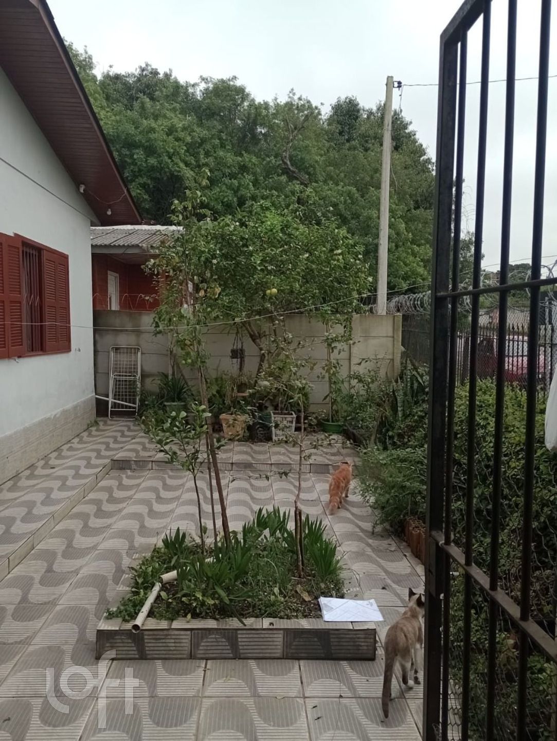 Imagem da propriedade 28