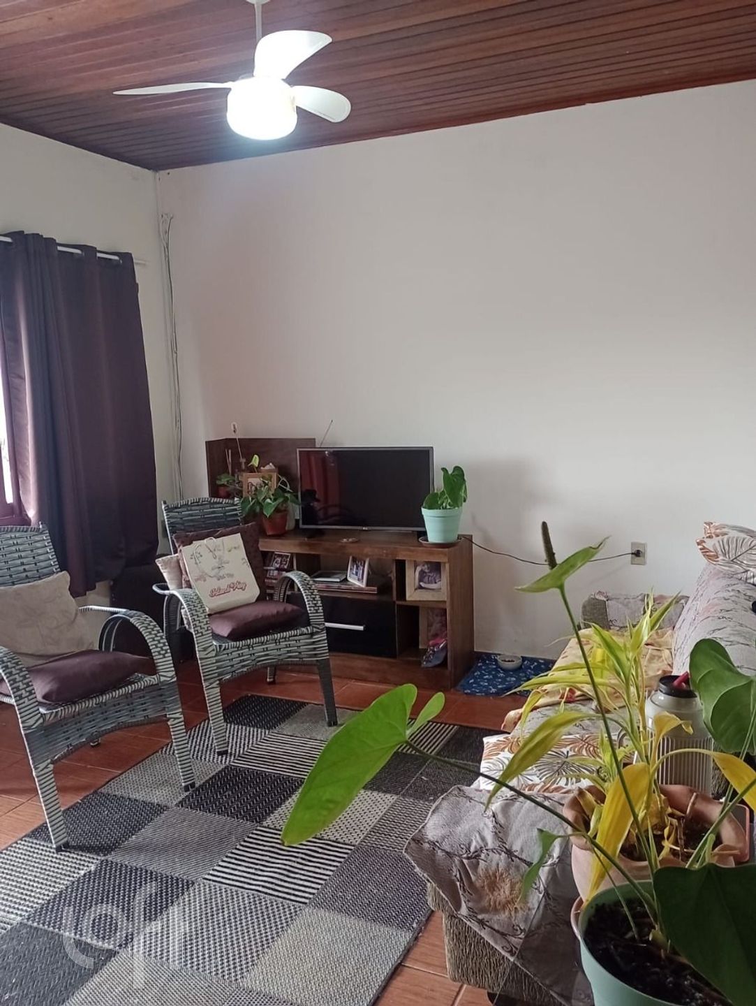 Imagem da propriedade 19