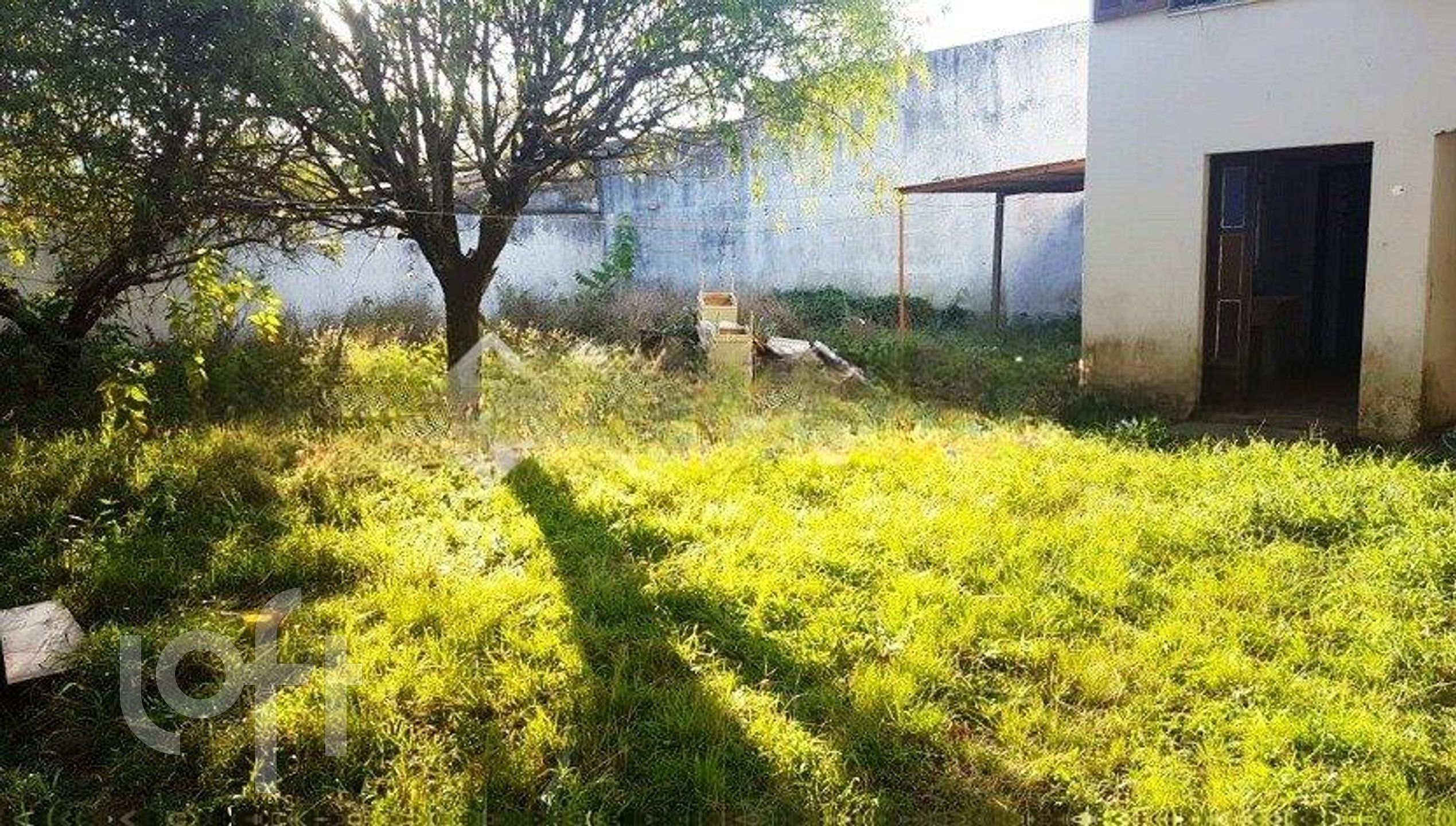 Imagem da propriedade 5