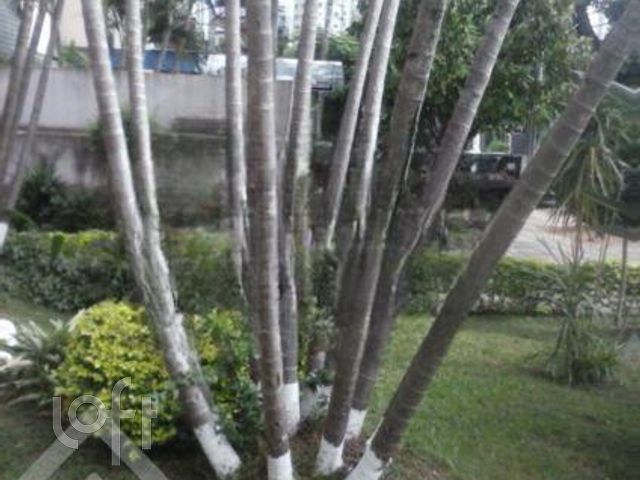 Apartamento com 79m², 2 dormitórios, 1 vaga, Petrópolis em Porto Alegre