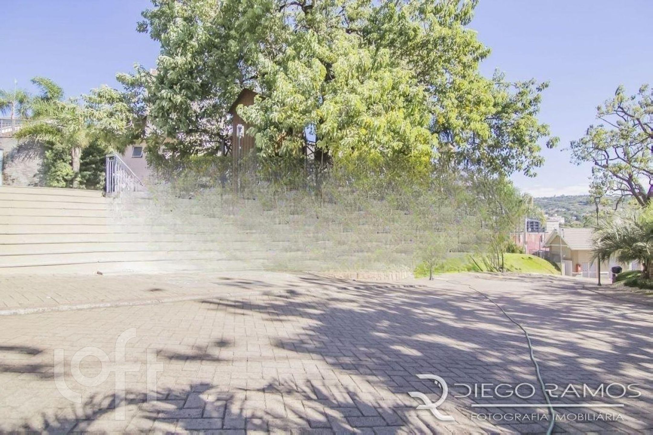 Imagem da propriedade 49