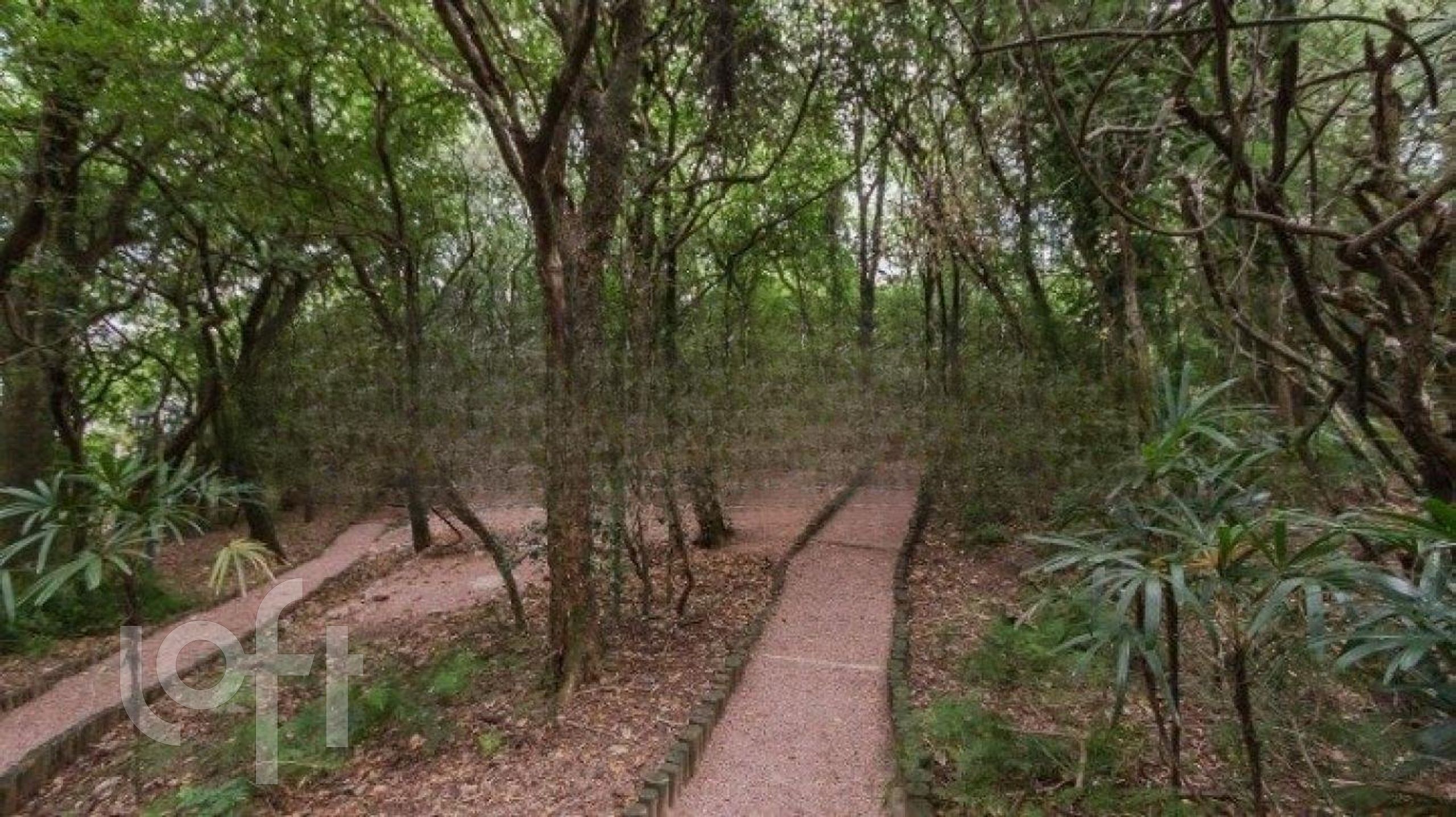 Imagem da propriedade 40