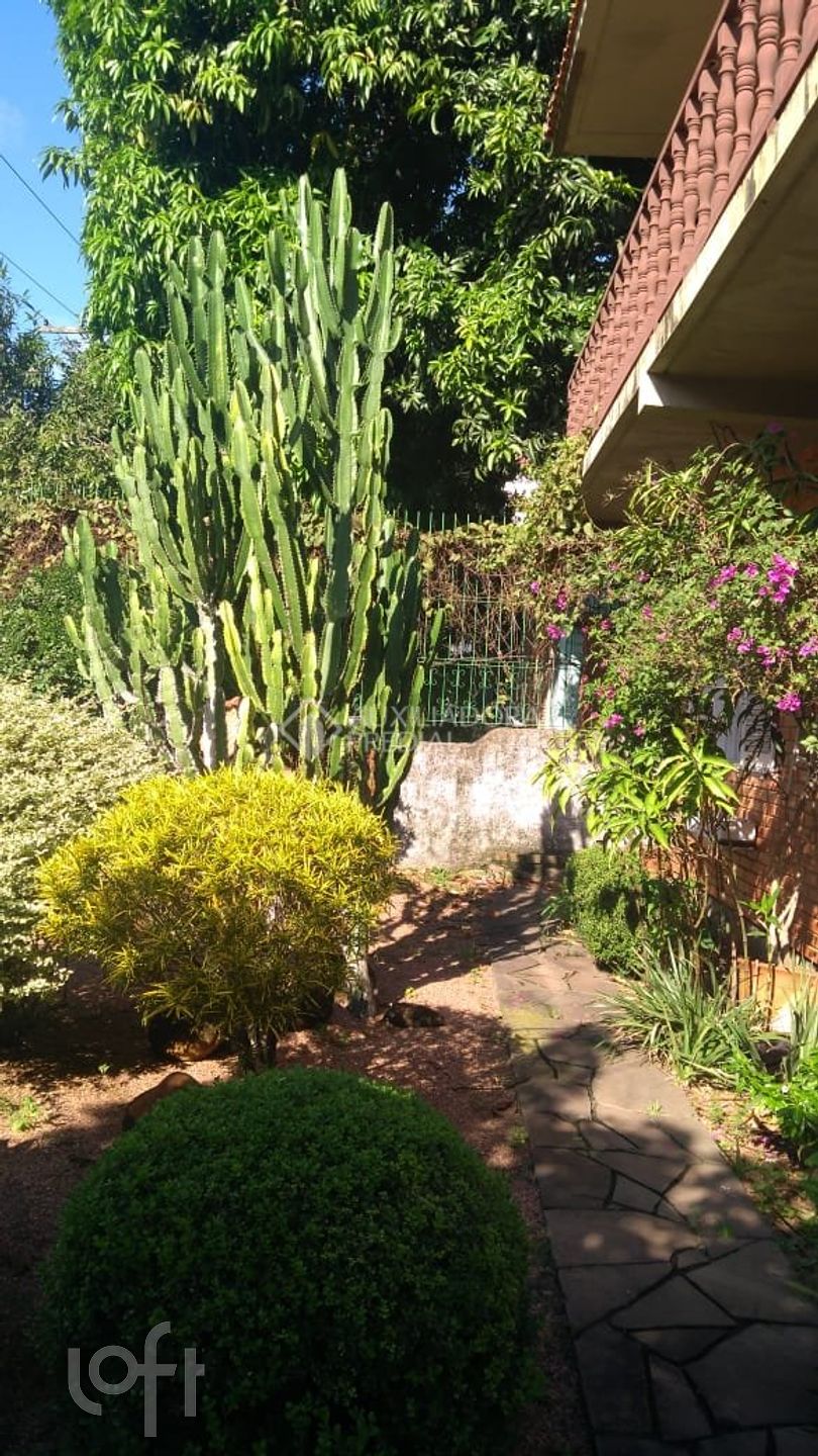 Imagem da propriedade 23