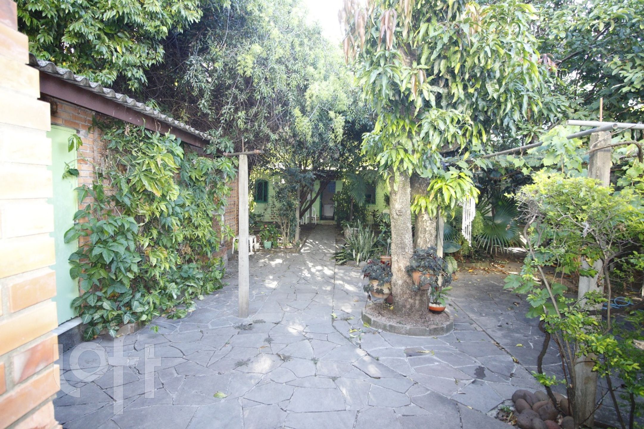 Imagem da propriedade 31