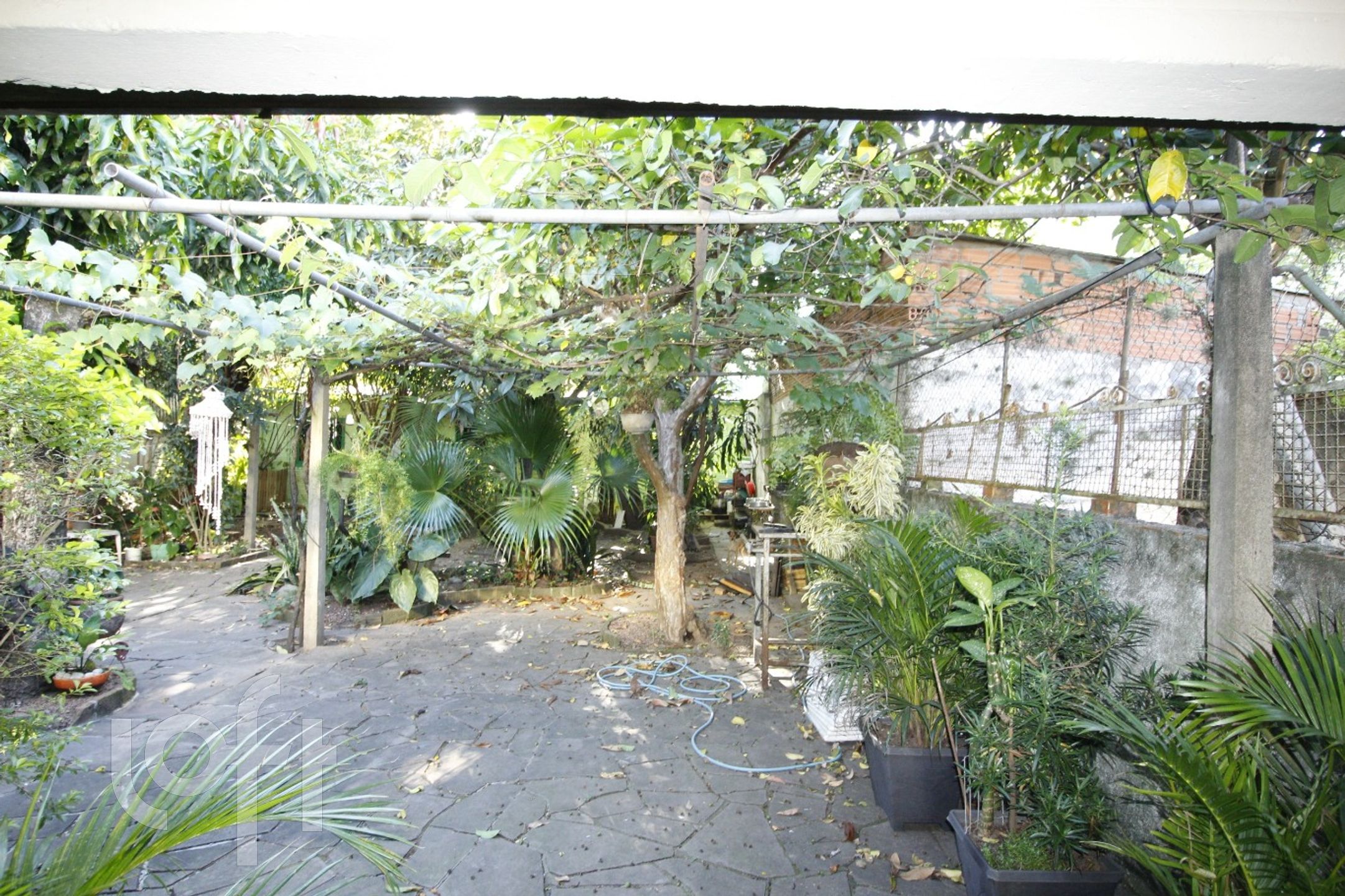 Imagem da propriedade 33