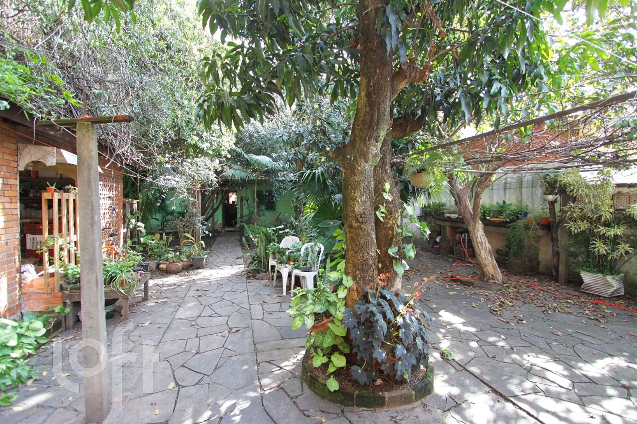 Imagem da propriedade 29