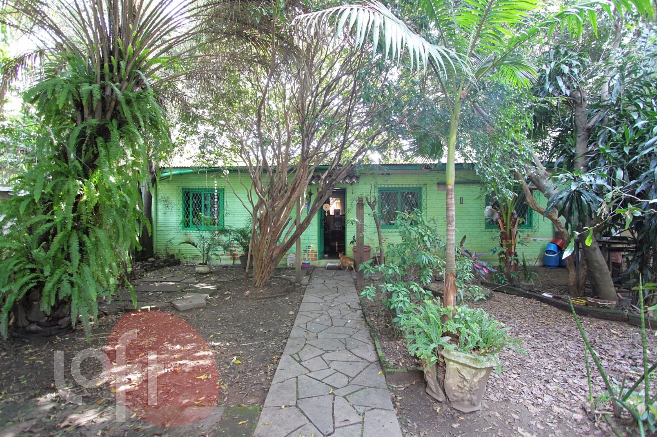 Imagem da propriedade 27