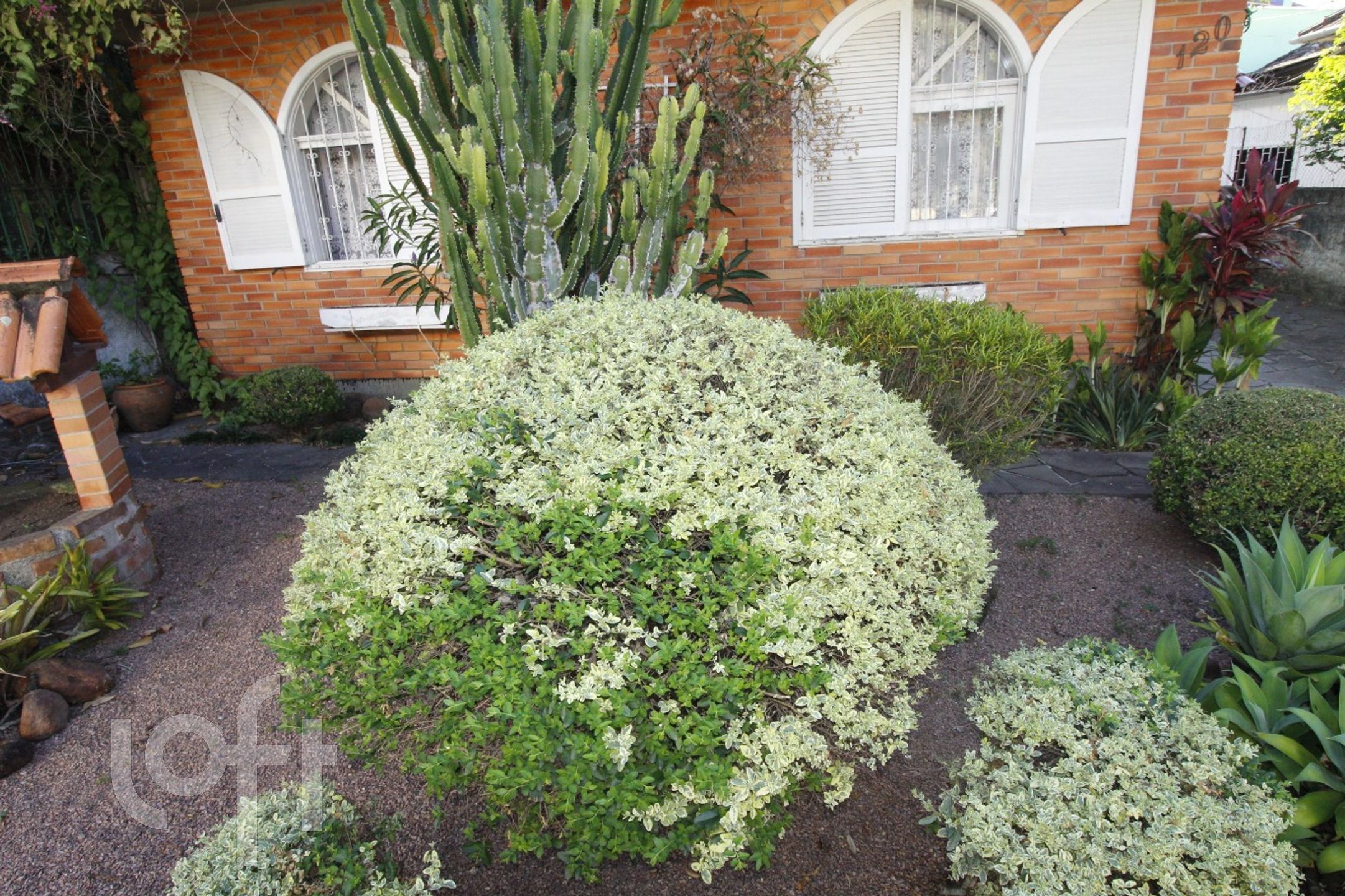 Imagem da propriedade 38