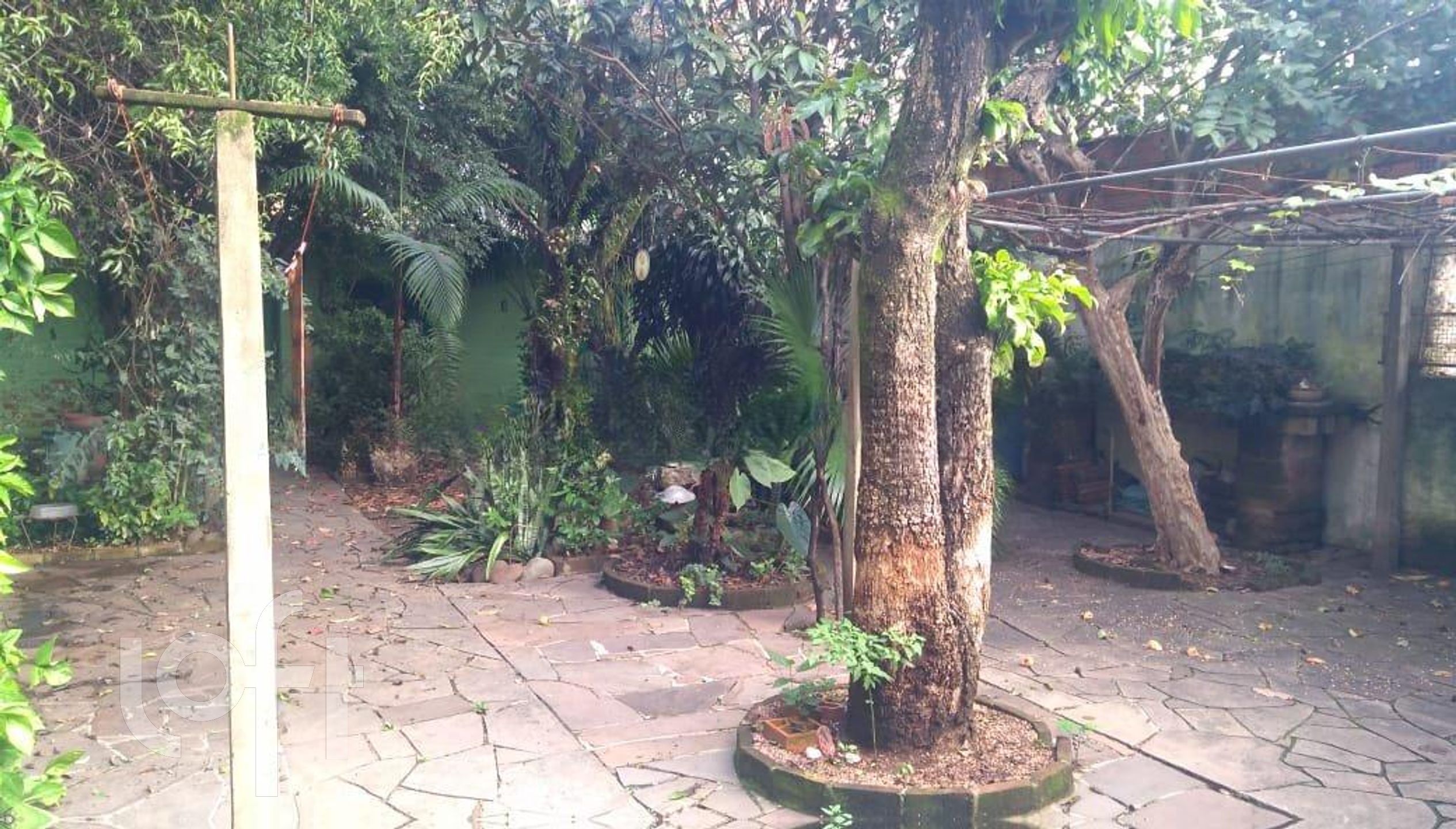 Imagem da propriedade 21