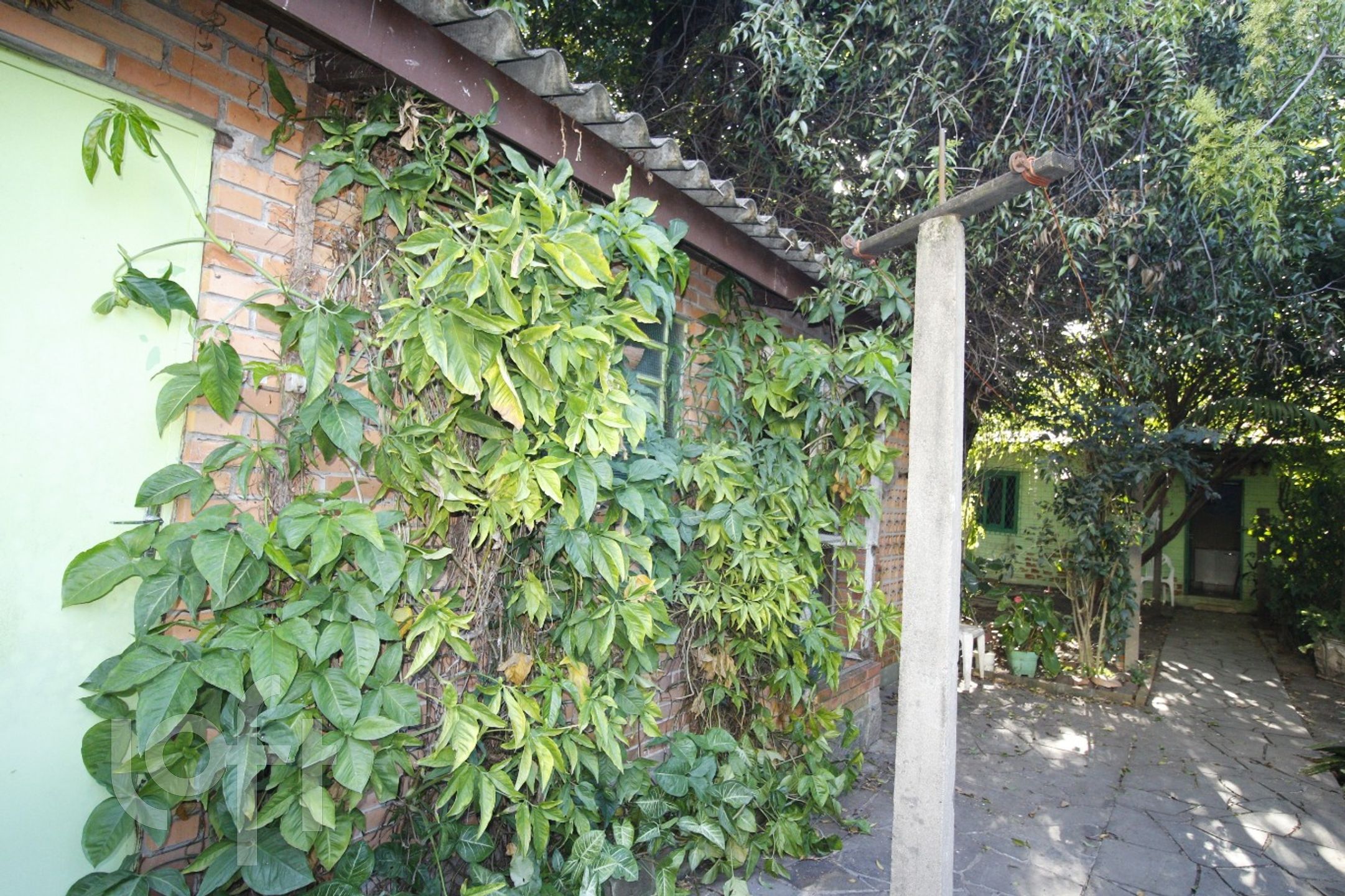 Imagem da propriedade 37