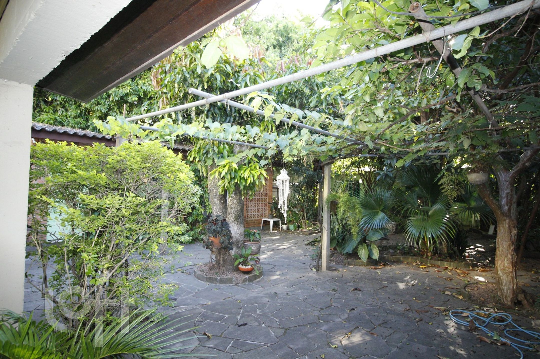 Imagem da propriedade 34