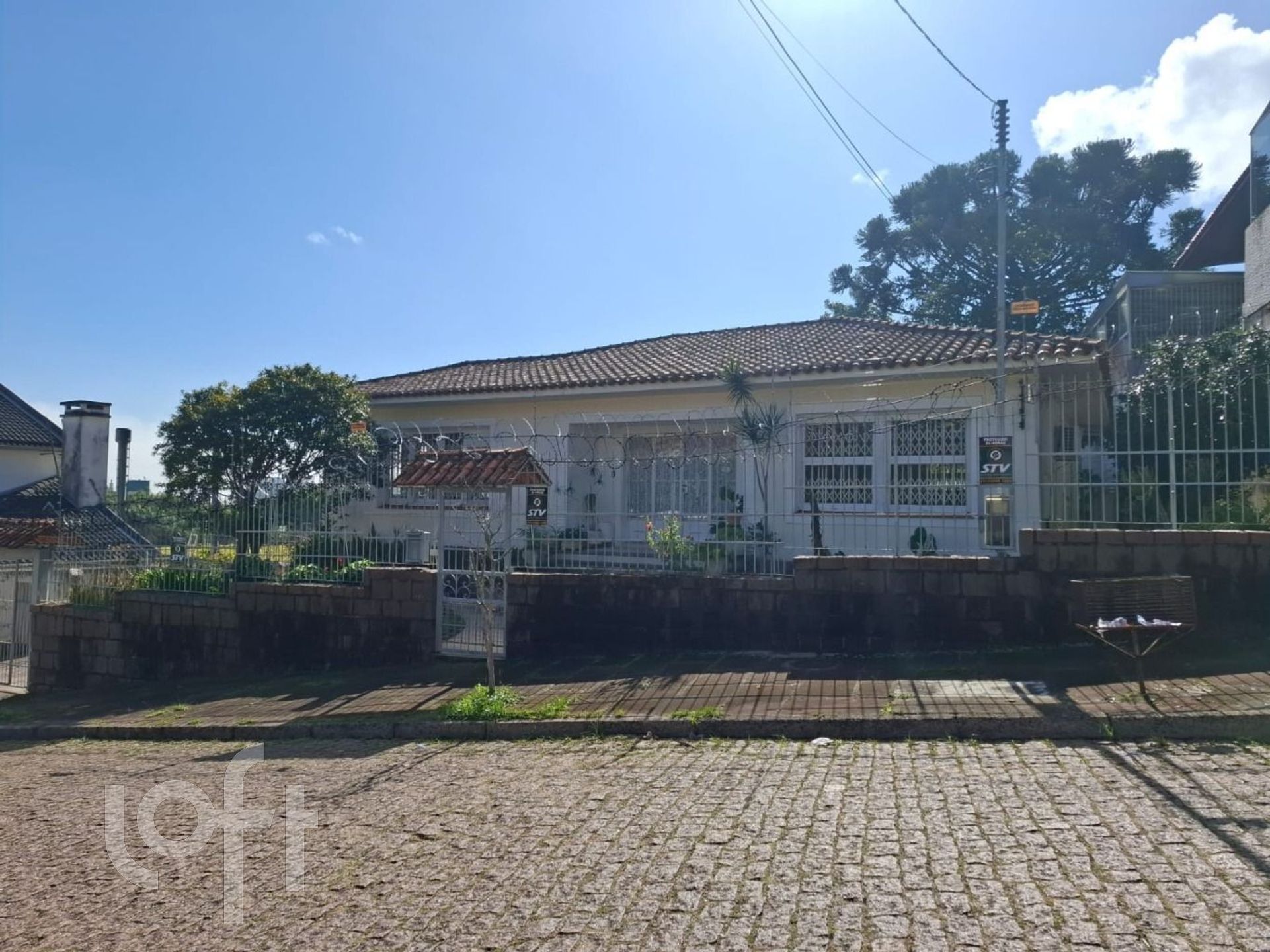 Imagem da propriedade 3