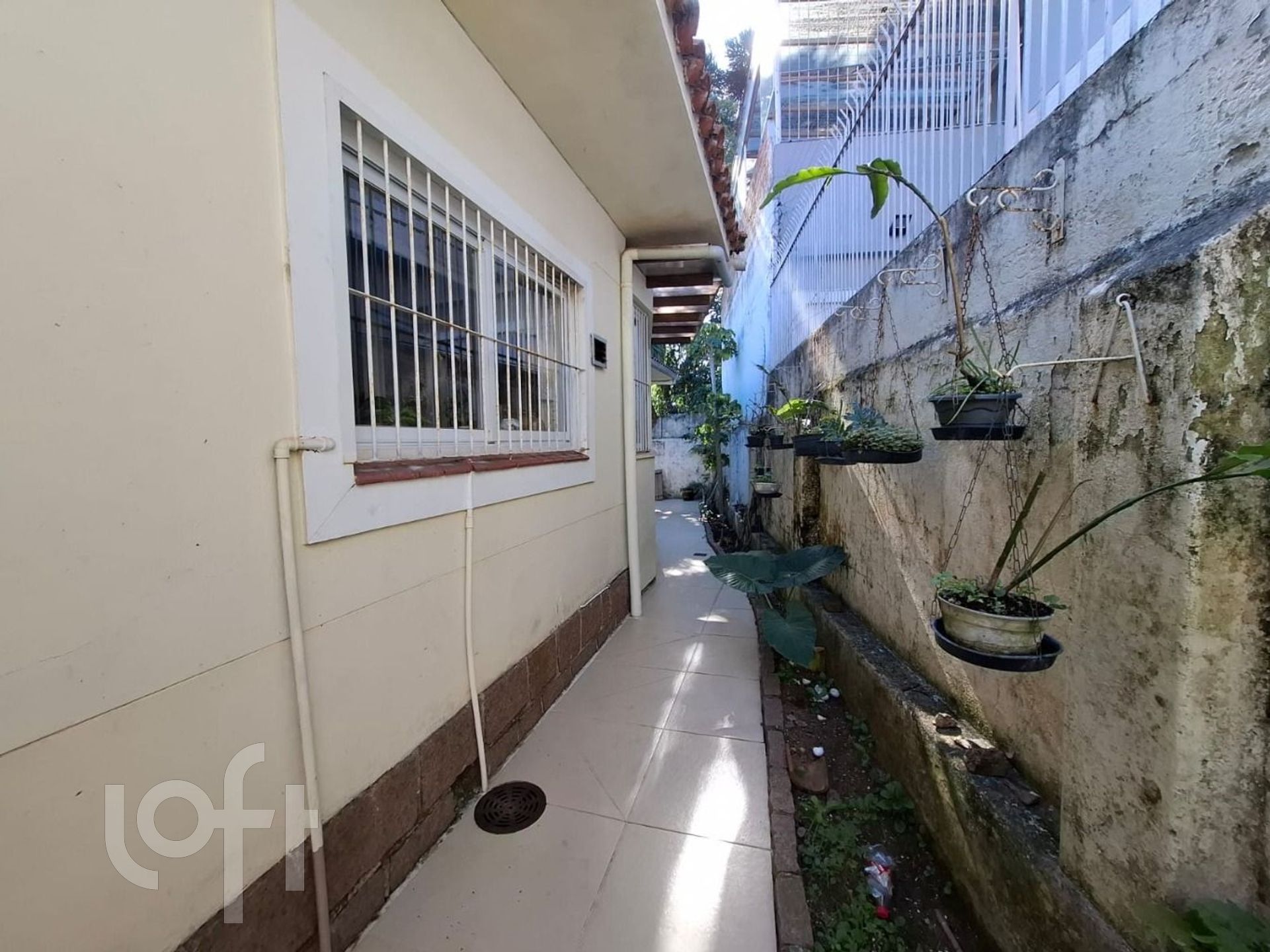 Imagem da propriedade 6