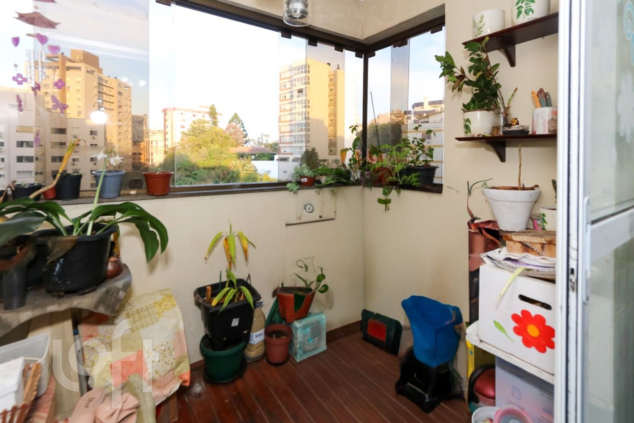 Imagem da propriedade 4