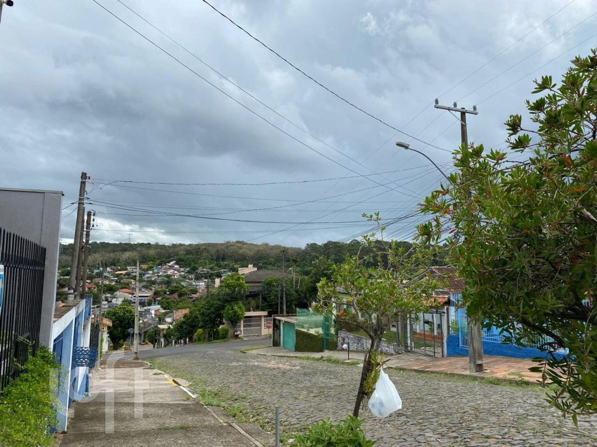 Imagem da propriedade 22