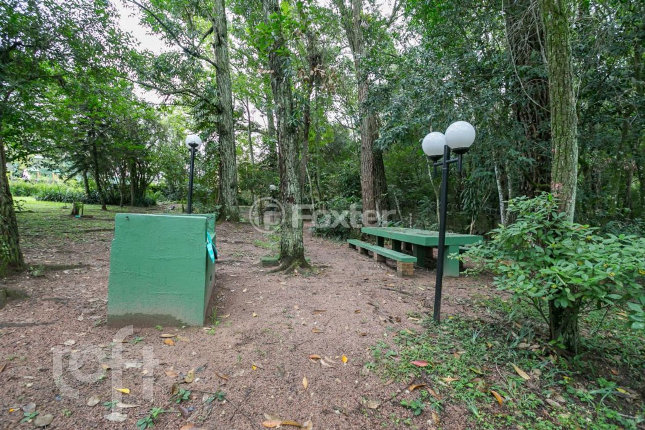 Imagem da propriedade 36