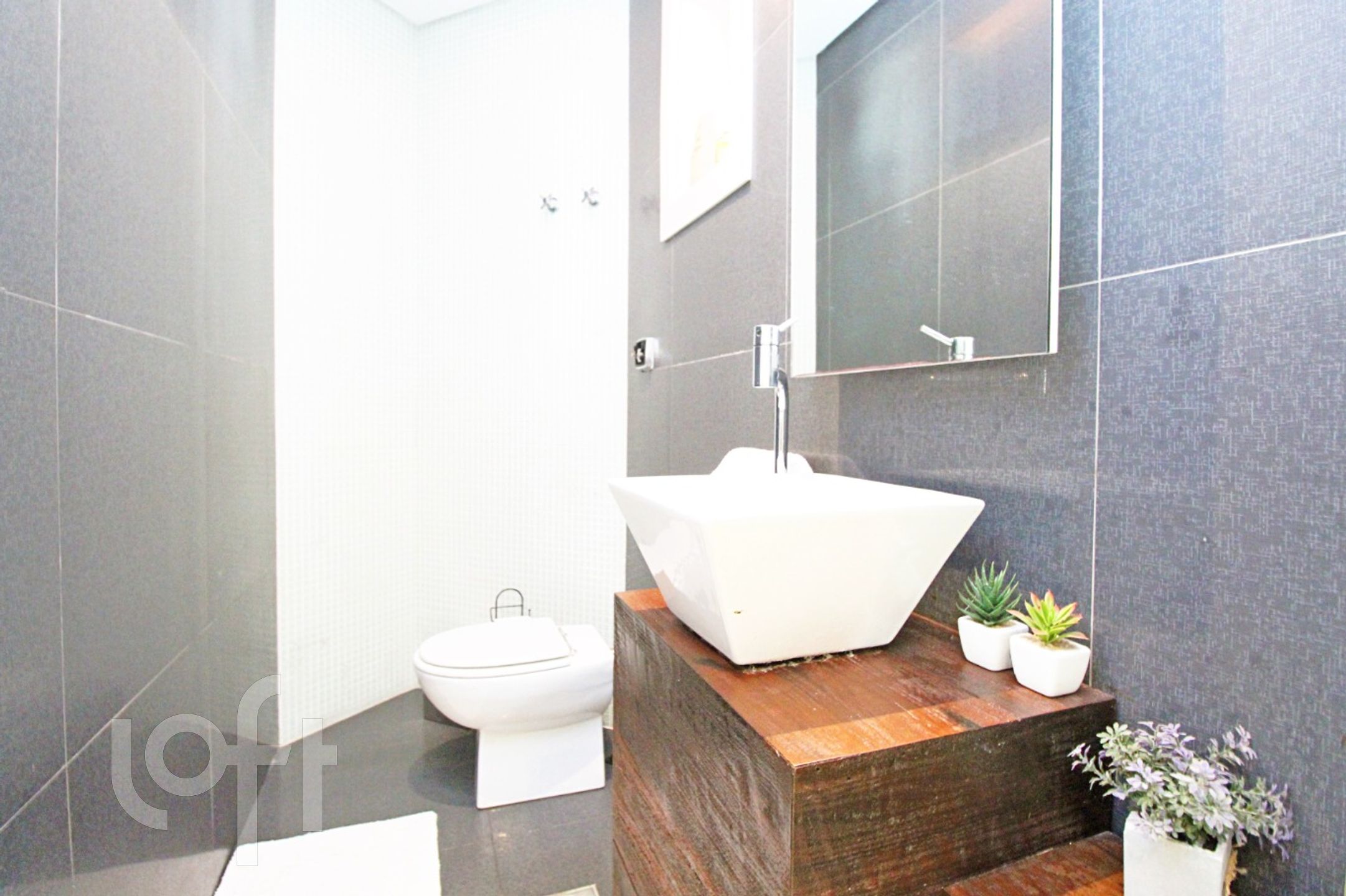 Imagem da propriedade 6