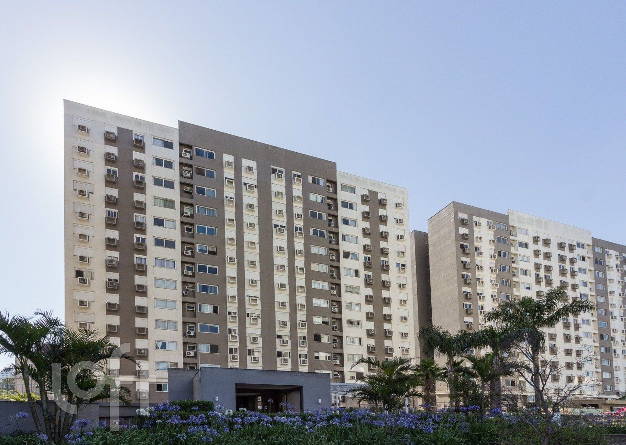 Imagem da propriedade 3