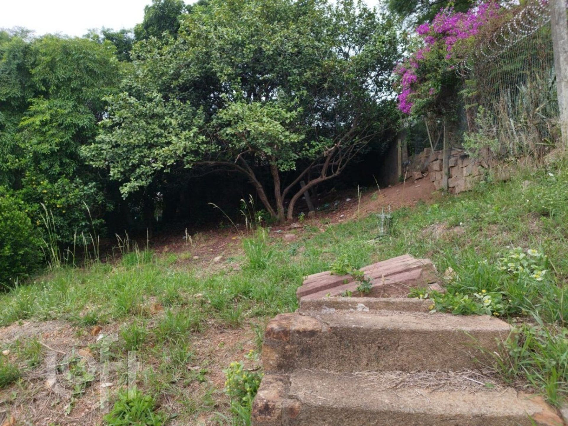 Imagem da propriedade 47