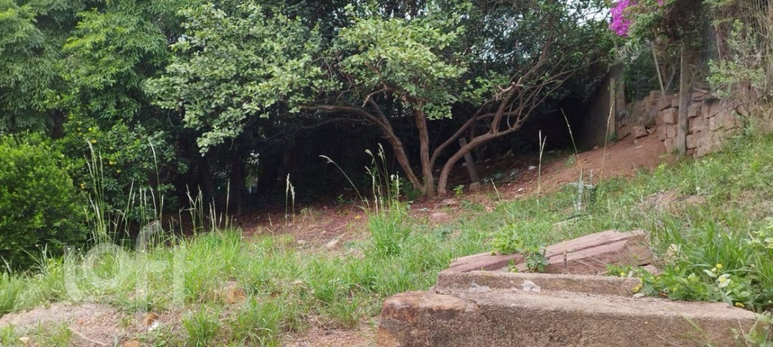 Imagem da propriedade 45