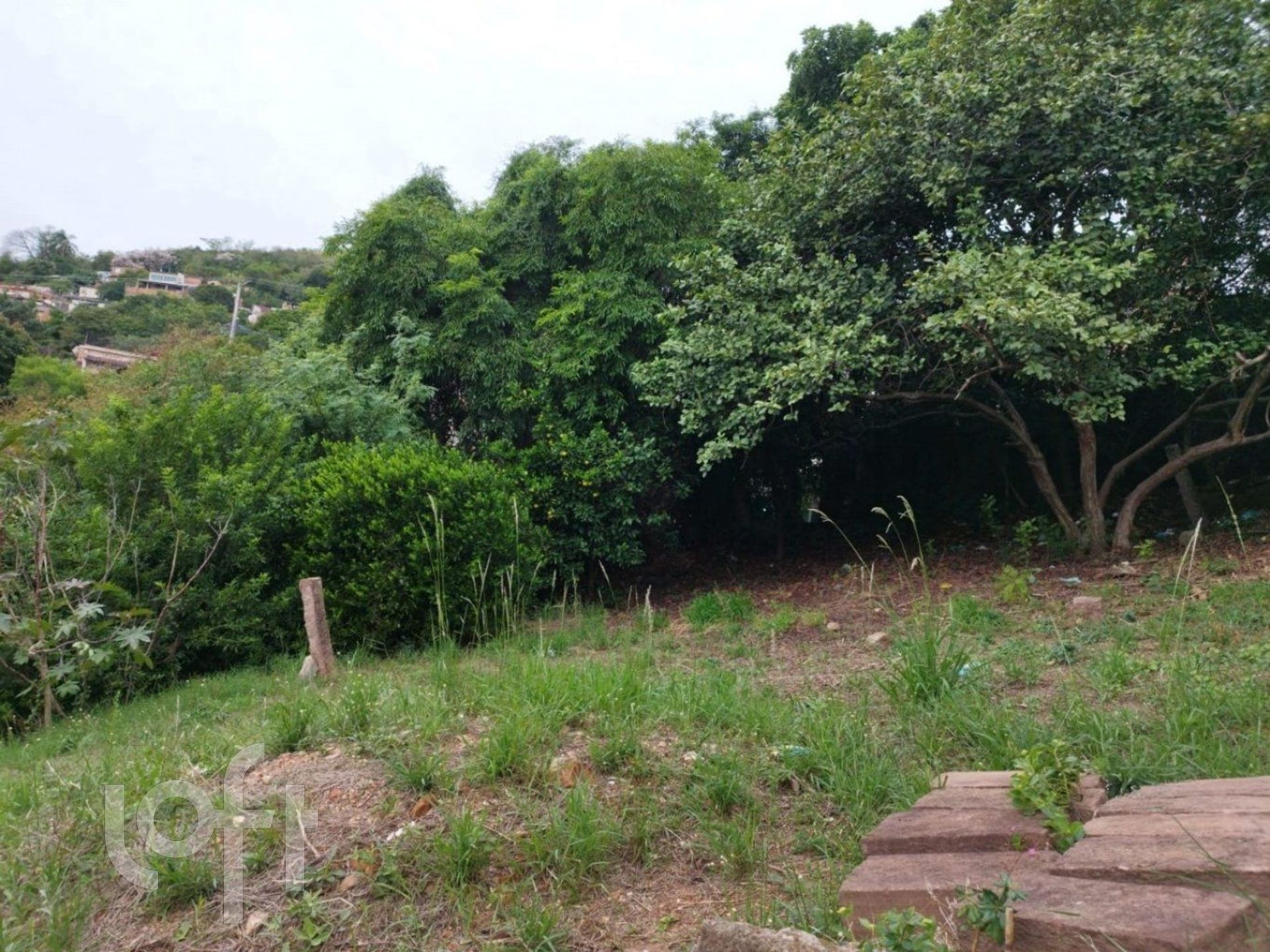 Imagem da propriedade 46