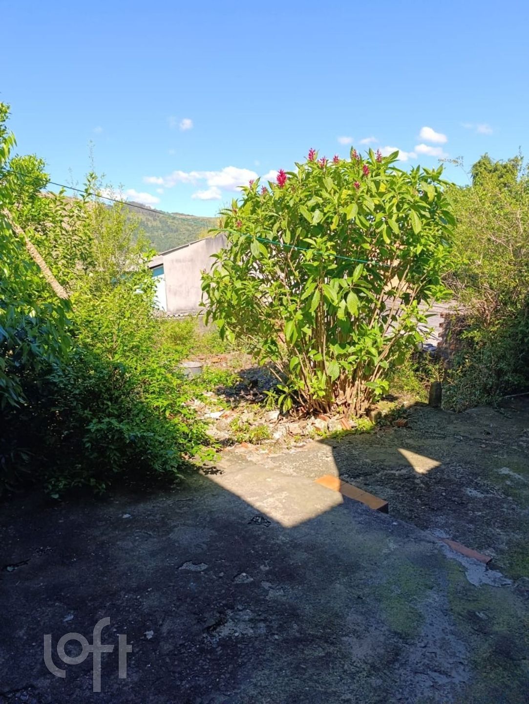 Imagem da propriedade 12