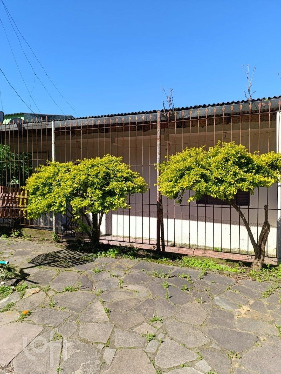 Imagem da propriedade 15