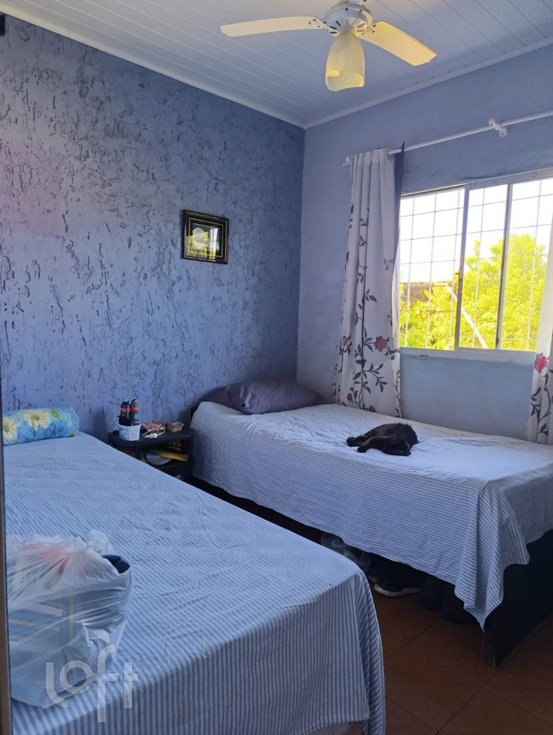 Imagem da propriedade 9