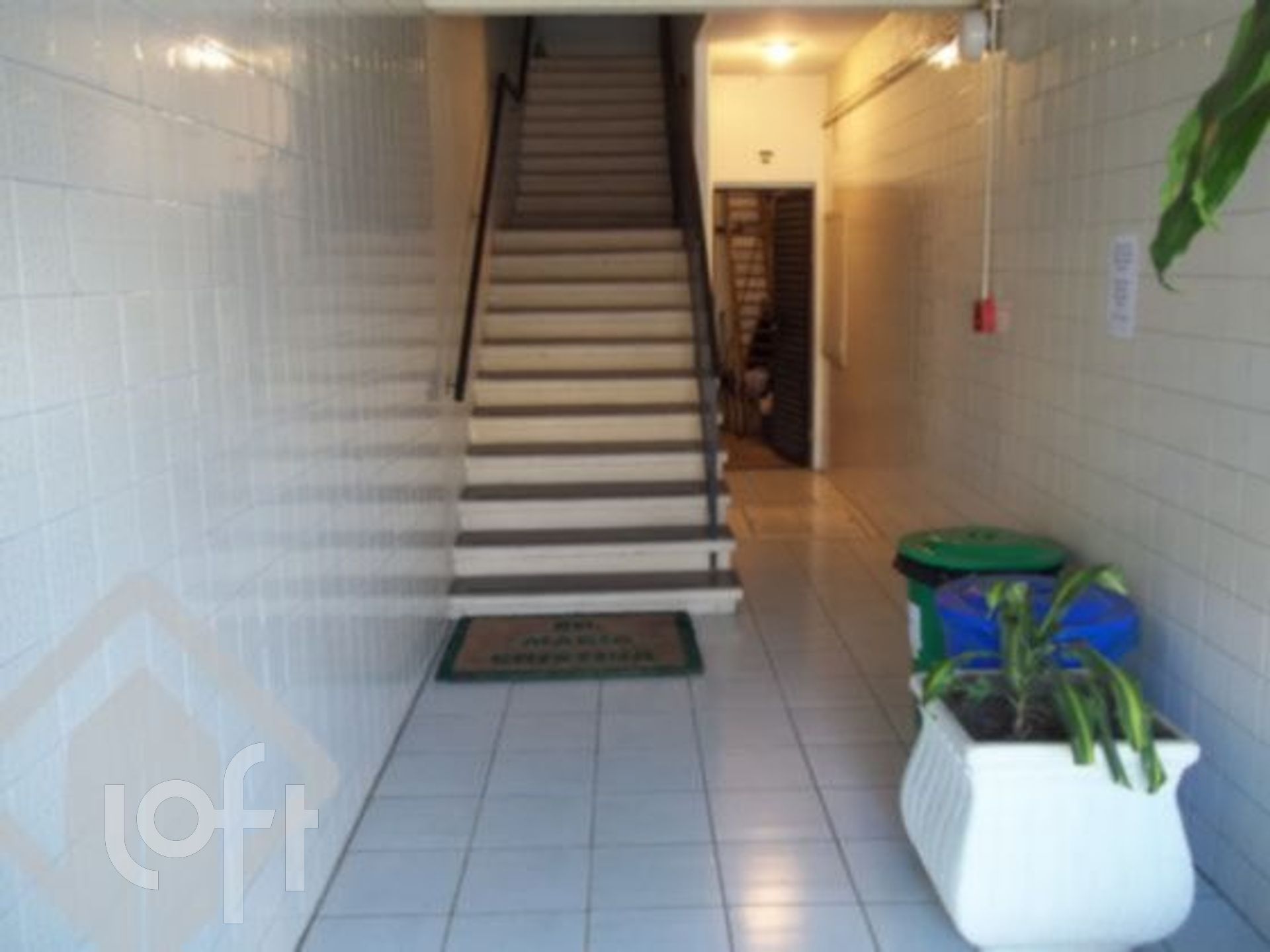 Imagem da propriedade 3