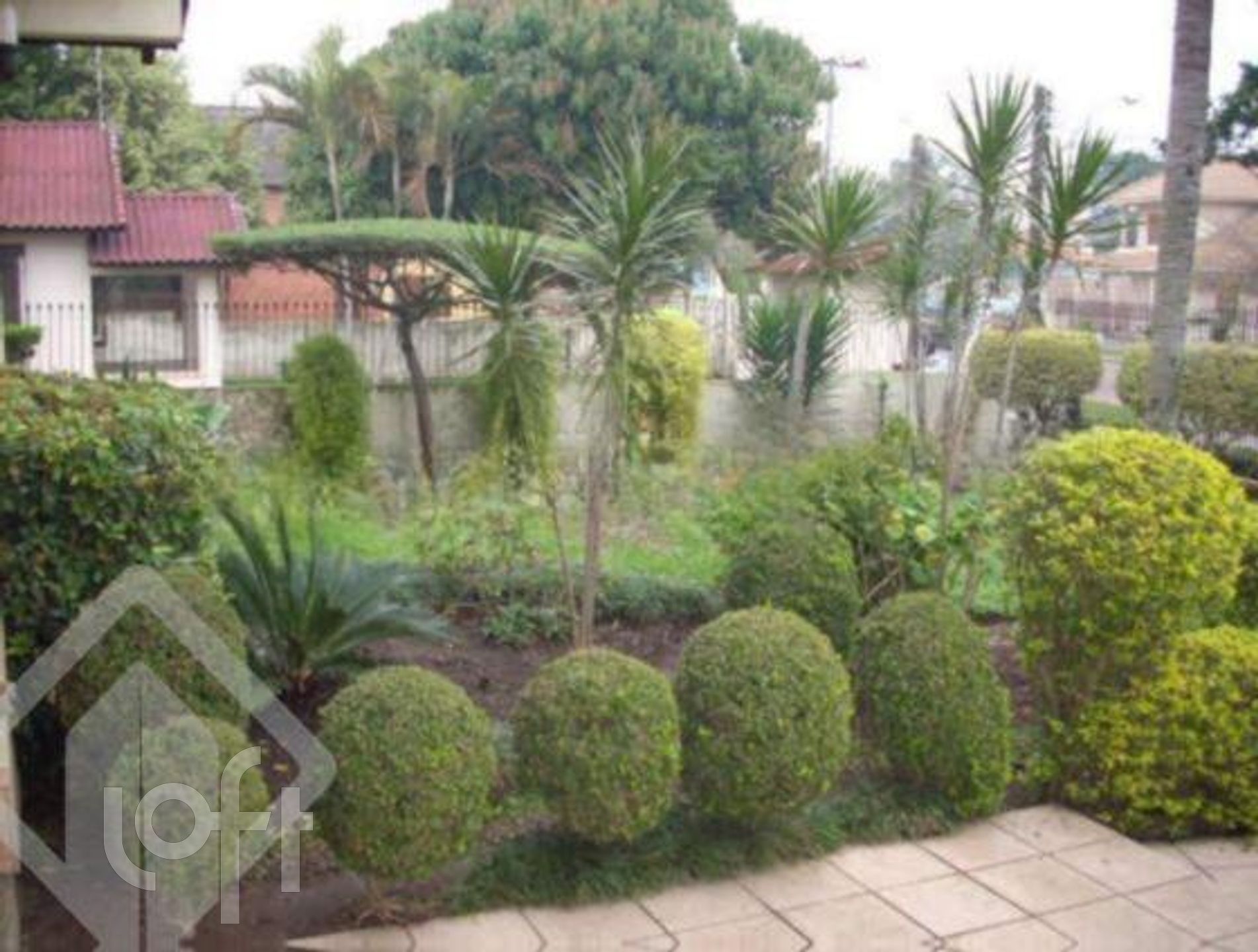 Imagem da propriedade 6