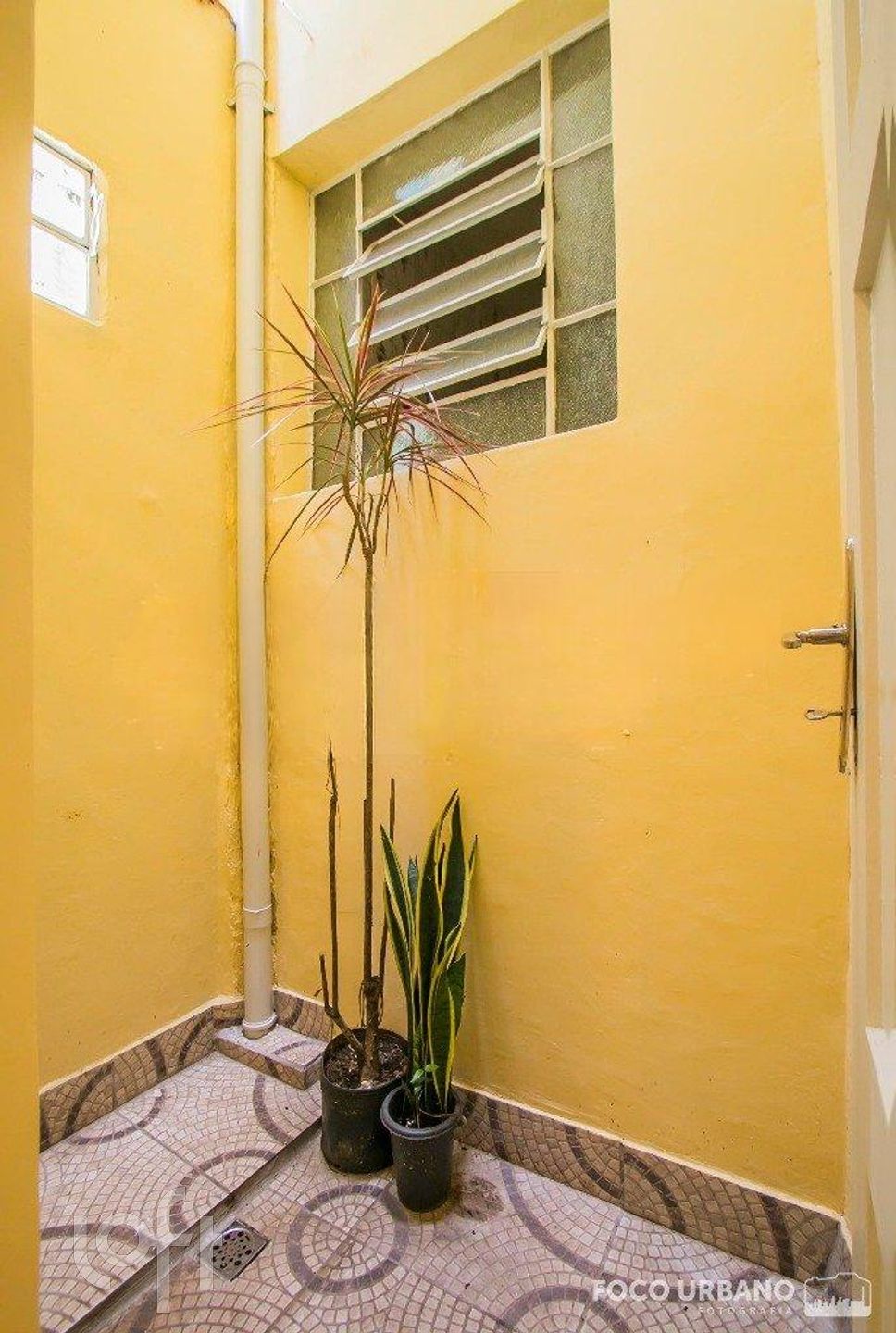 Imagem da propriedade 12