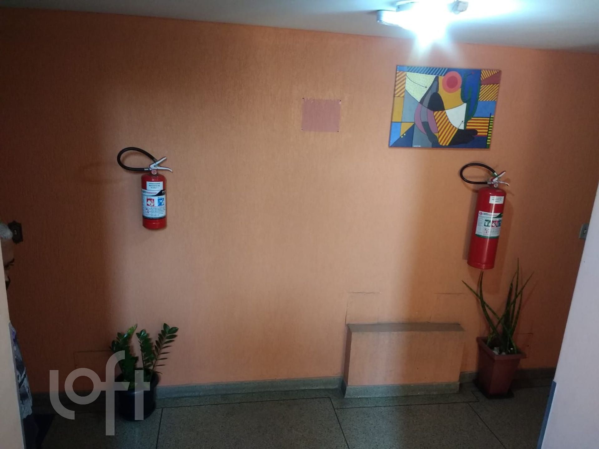 Imagem da propriedade PUz8do71 11