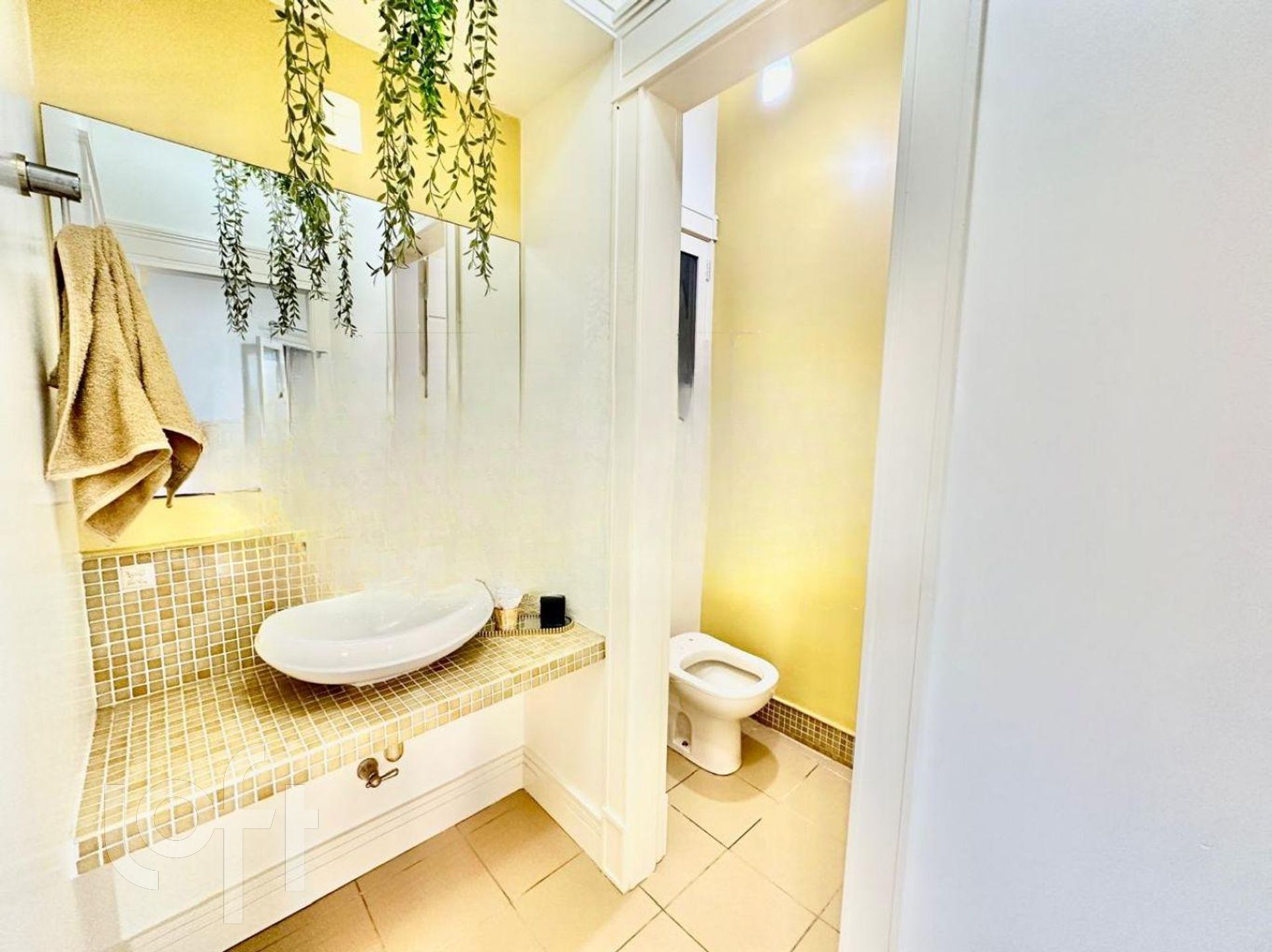 Imagem da propriedade 11