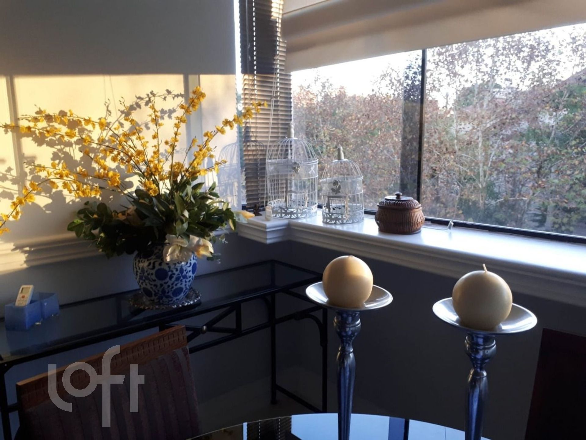 Imagem da propriedade 34