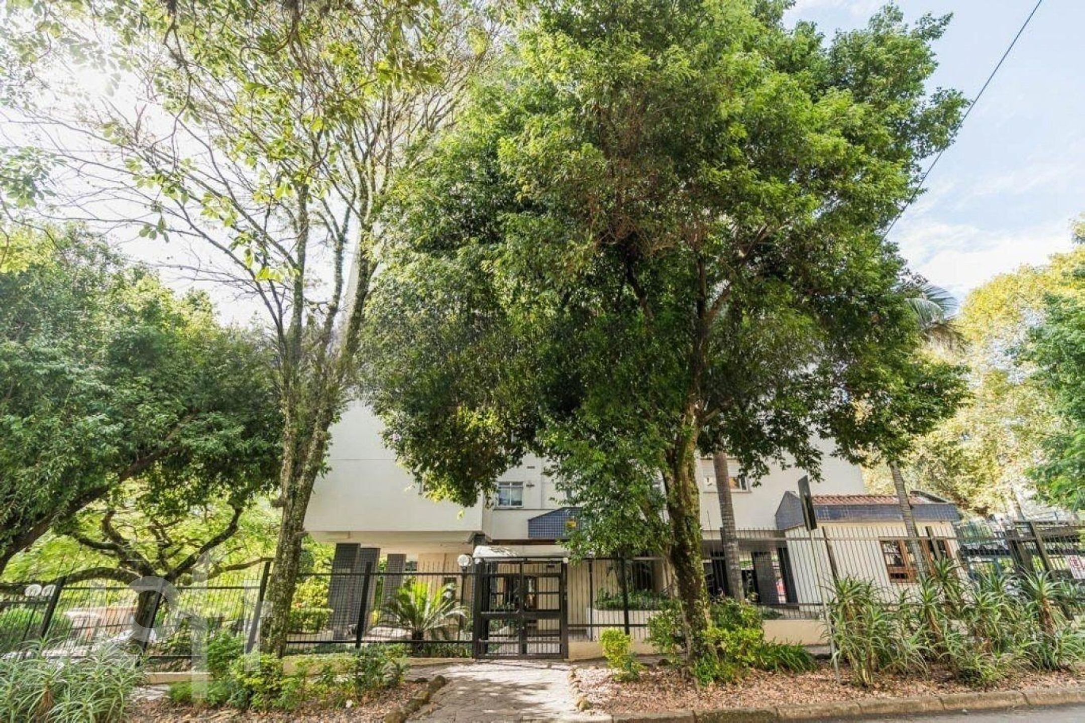 Imagem da propriedade 25