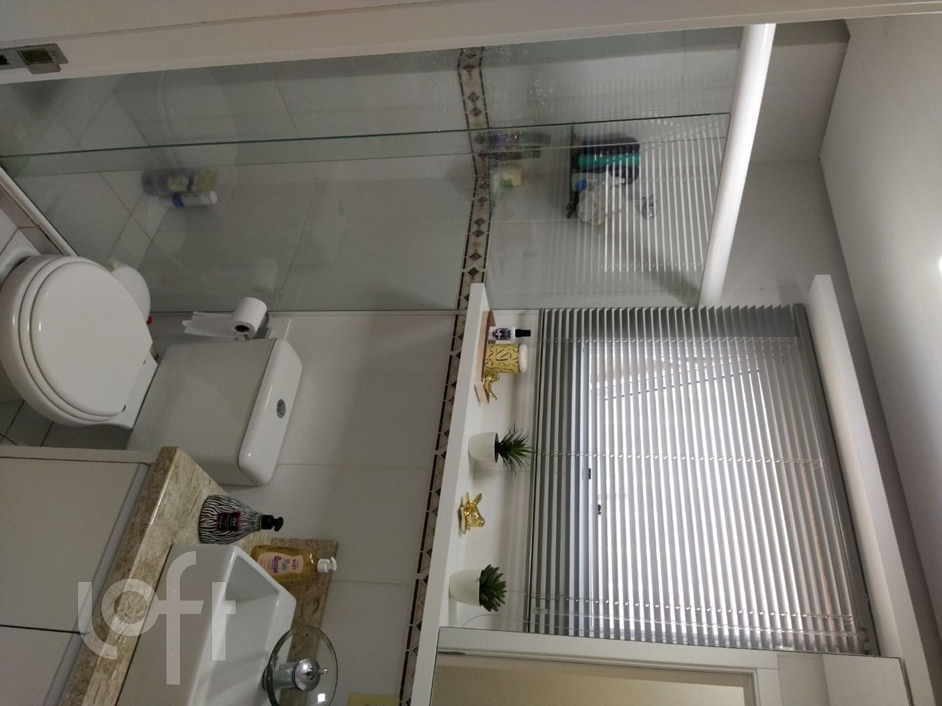 Imagem da propriedade 18