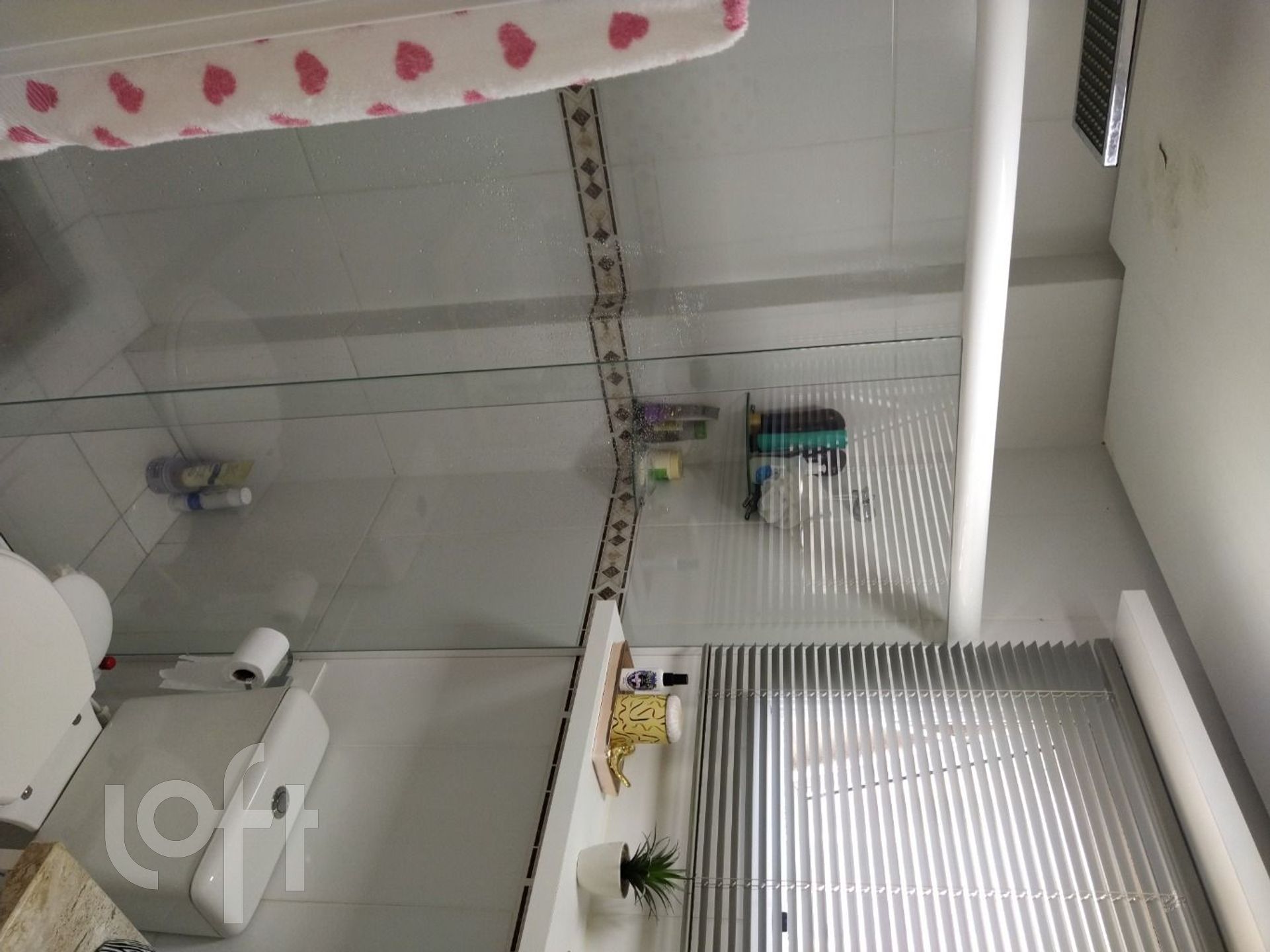 Imagem da propriedade 19