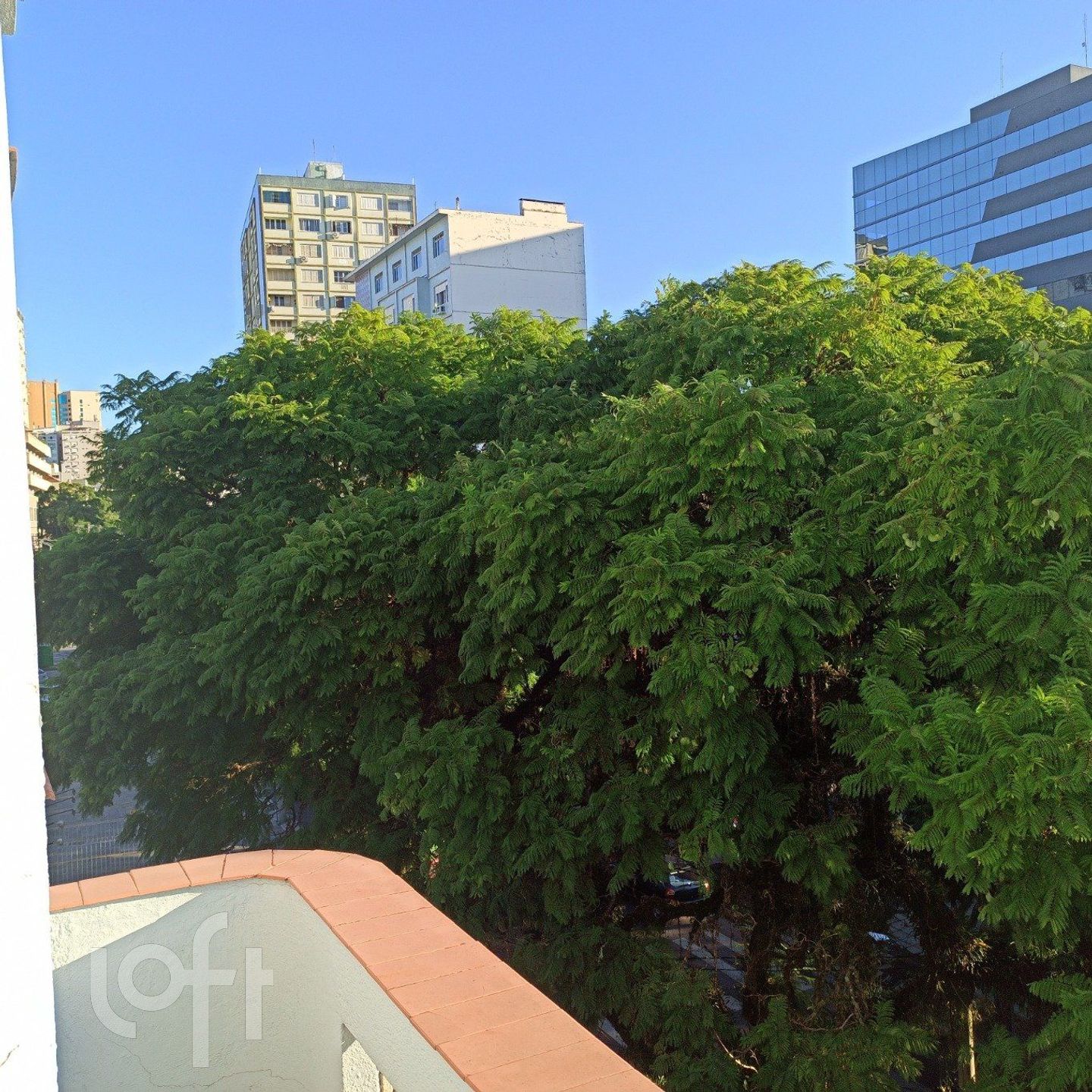 Imagem da propriedade 29