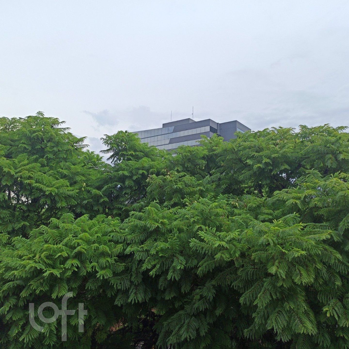 Imagem da propriedade 28