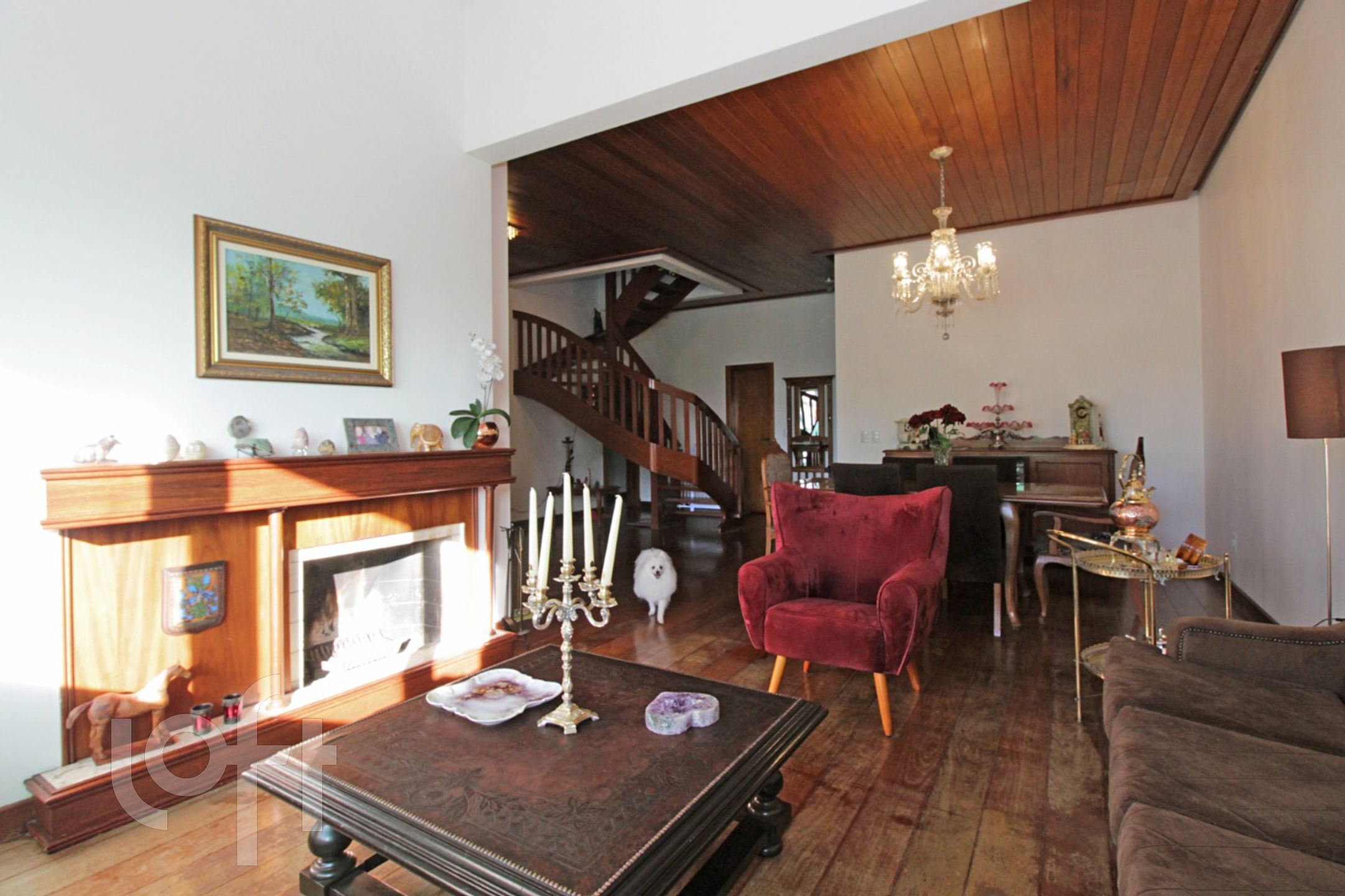 Imagem da propriedade 7