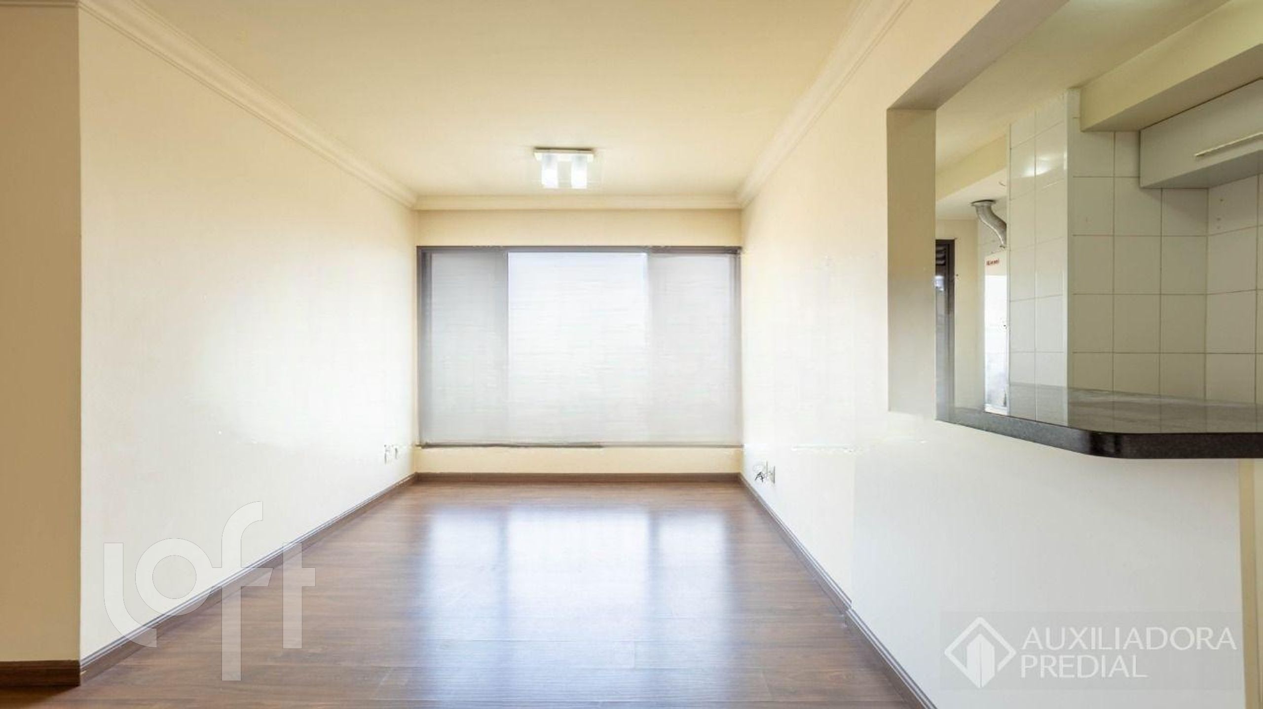 Imagem da propriedade 3