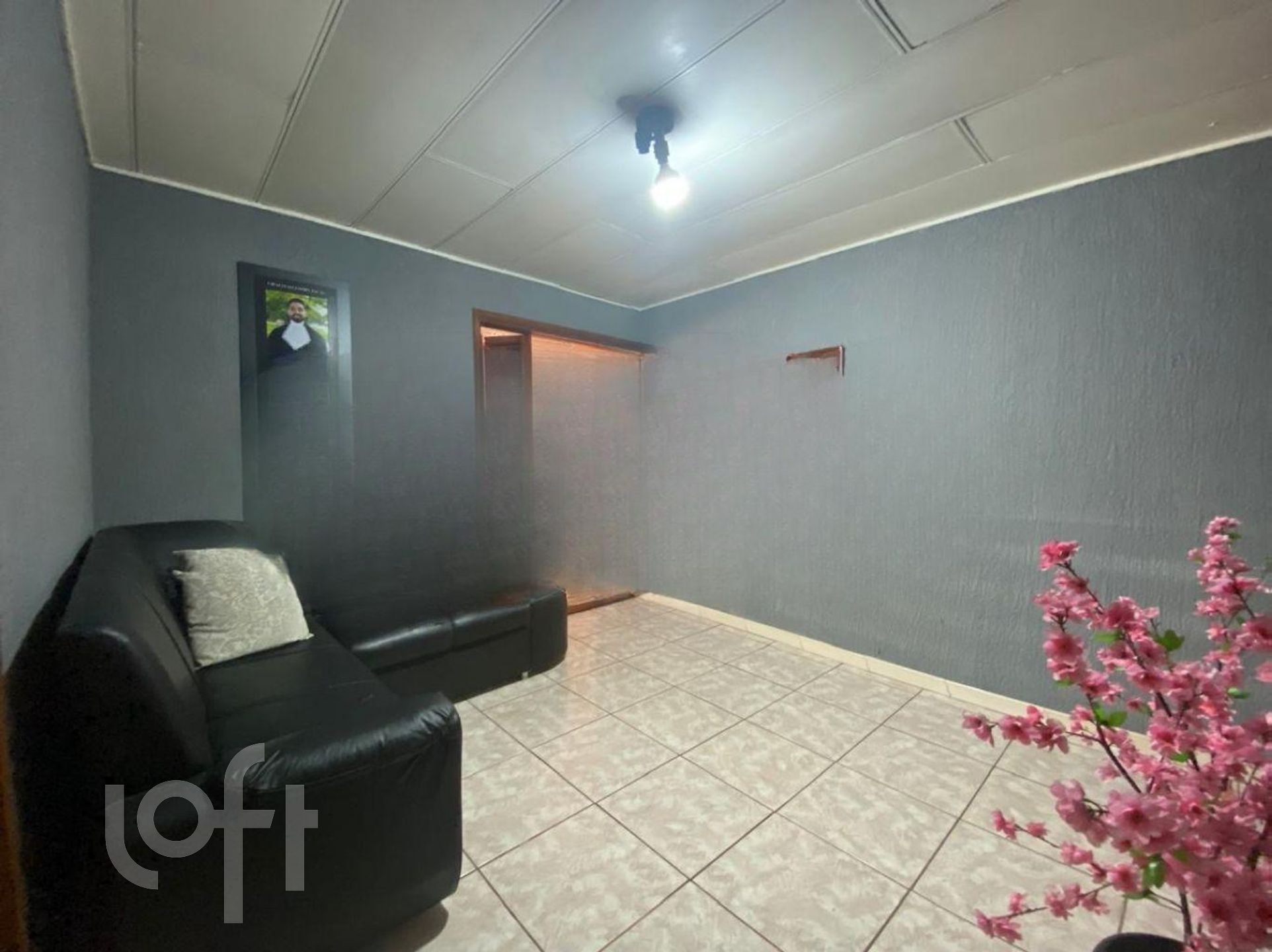 Imagem da propriedade 6